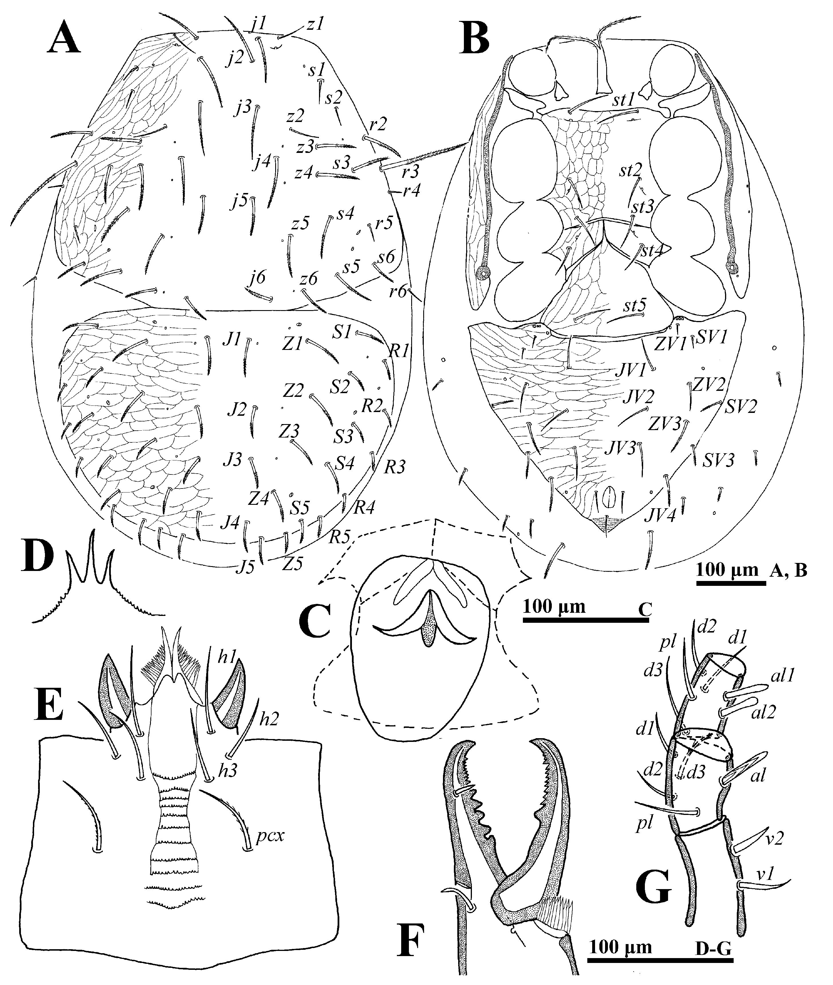 Animals 14 02260 g008