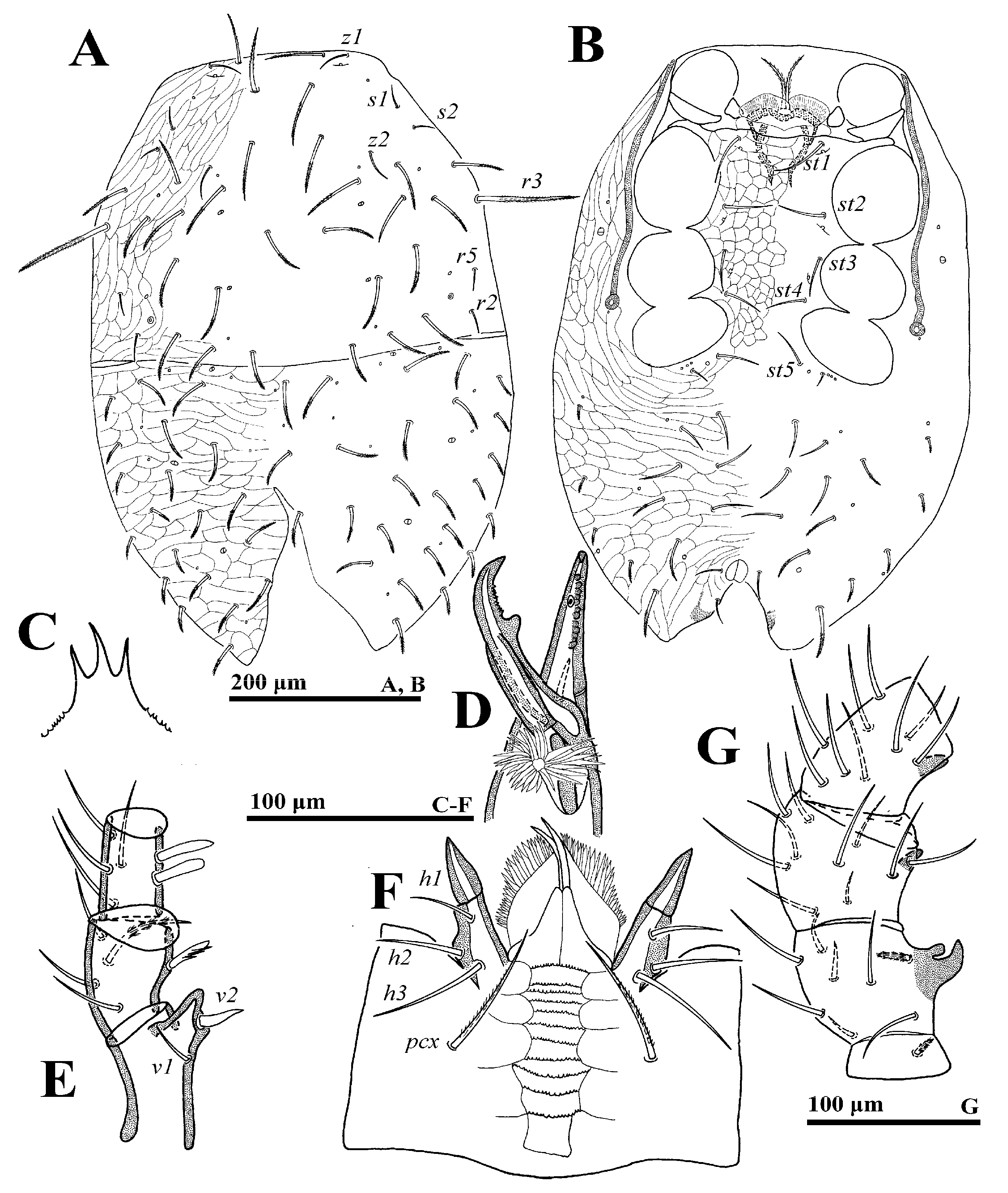 Animals 14 02260 g009