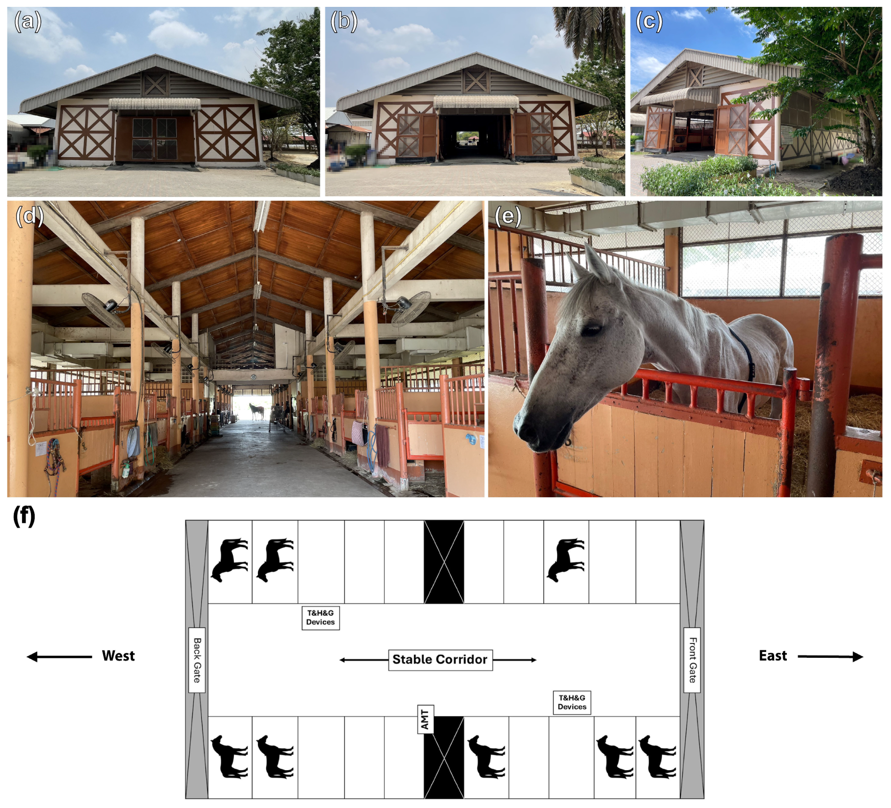 Animals 14 02263 g001 Animals 14 02263 g001