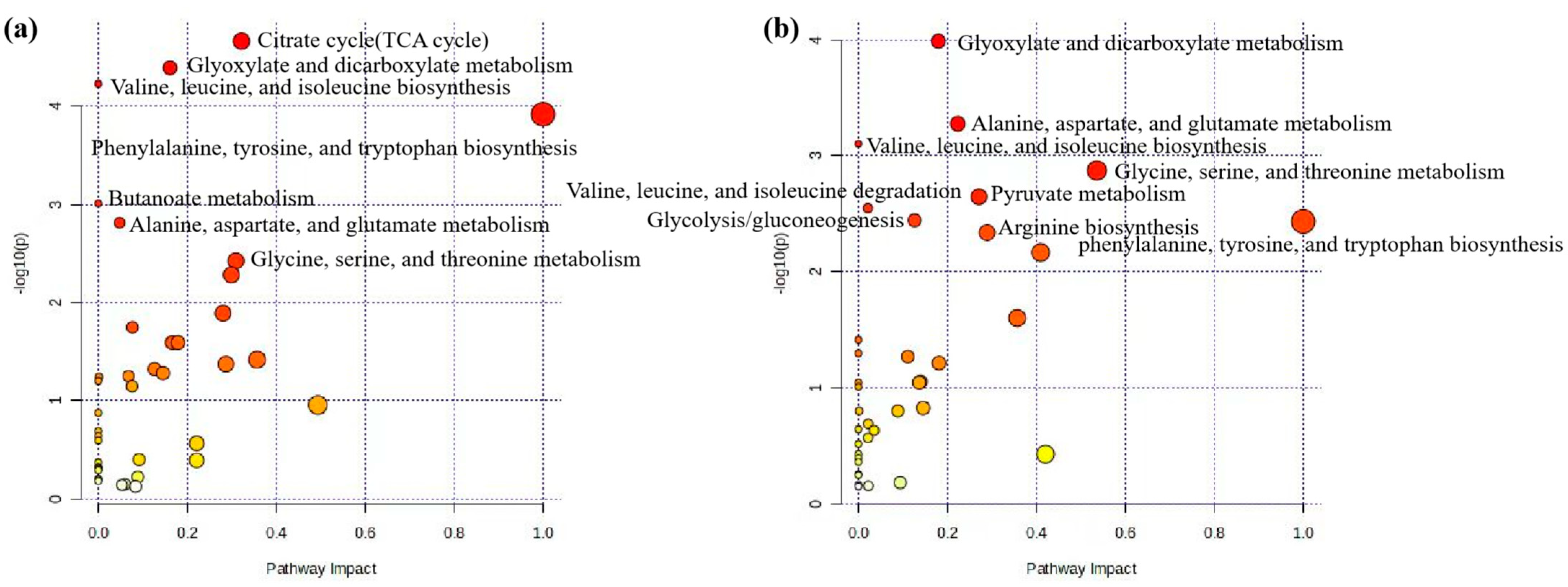 Animals 14 02264 g002