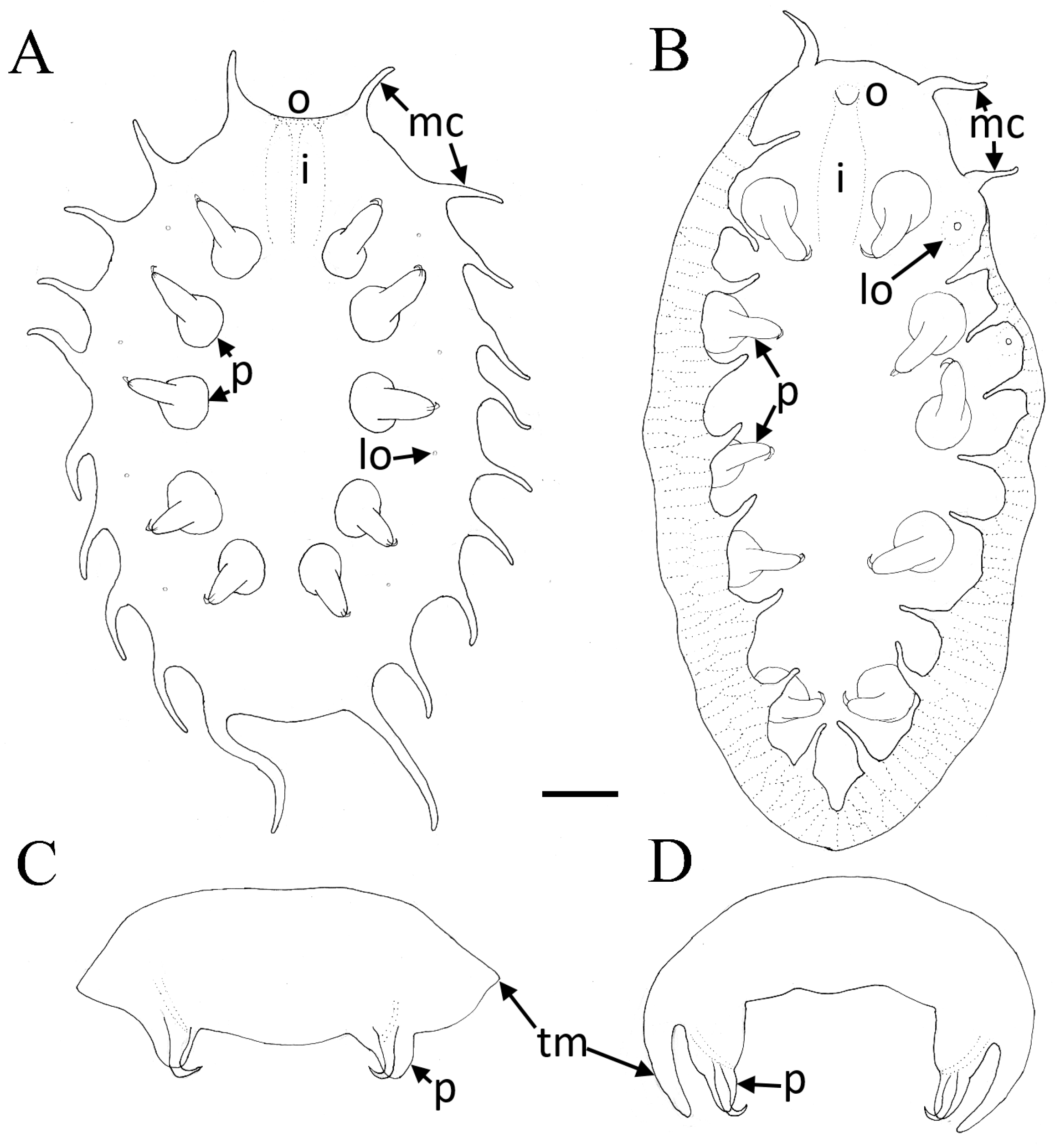 Animals 14 02265 g005