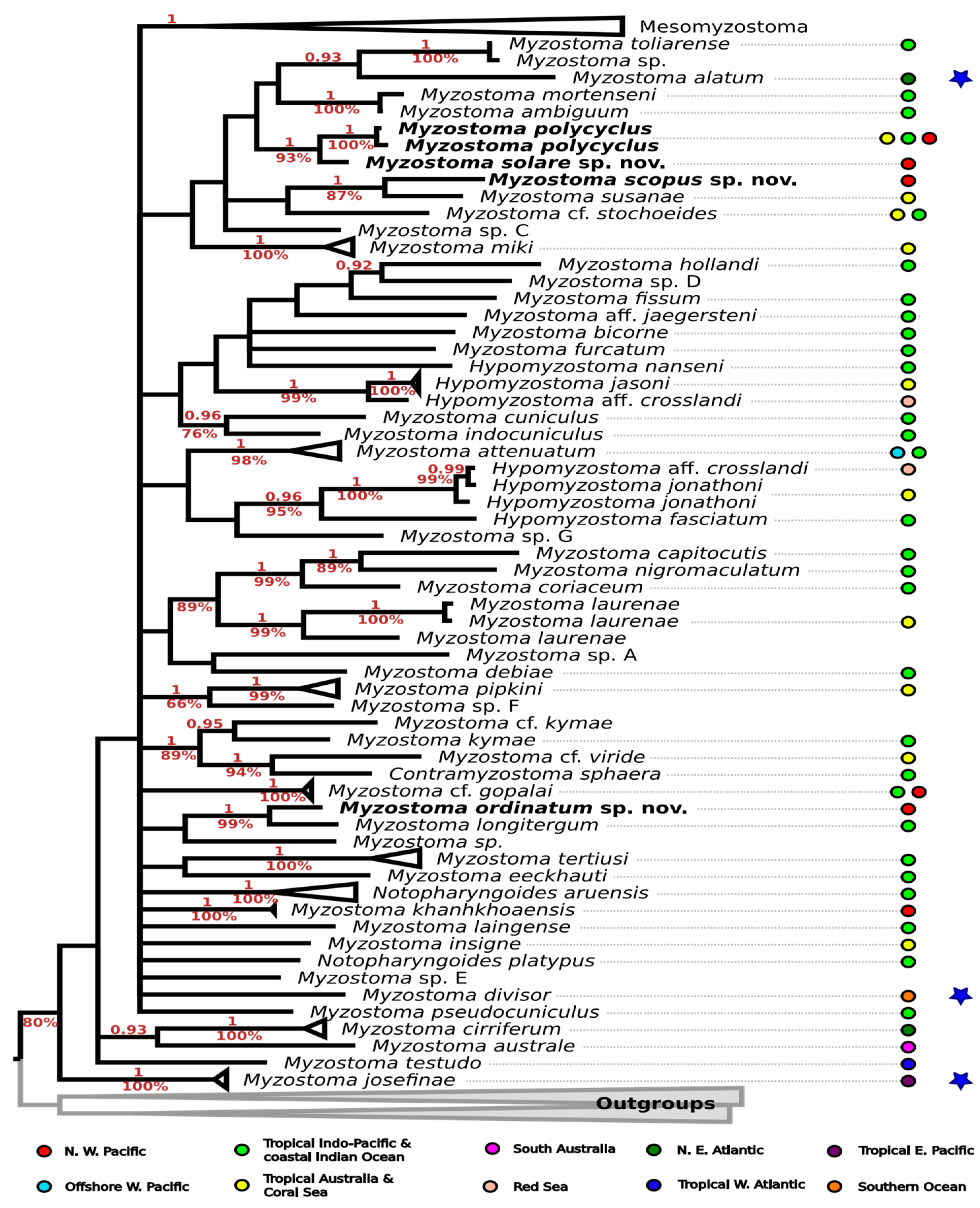 Animals 14 02265 g006