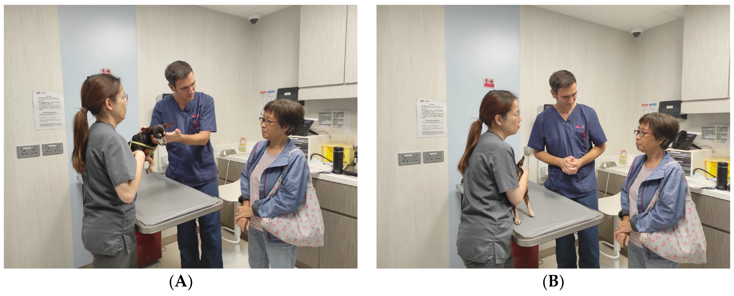 Animals 14 02270 g002