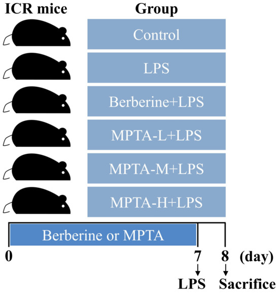 Protopine-Type Alkaloids Alleviate Lipopolysaccharide