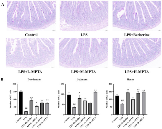 Protopine-Type Alkaloids Alleviate Lipopolysaccharide