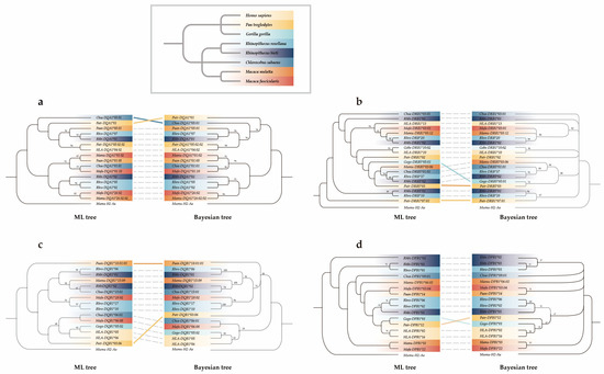 Ryun MICU3 Regulates Mitochondrial Calcium and Cardiac