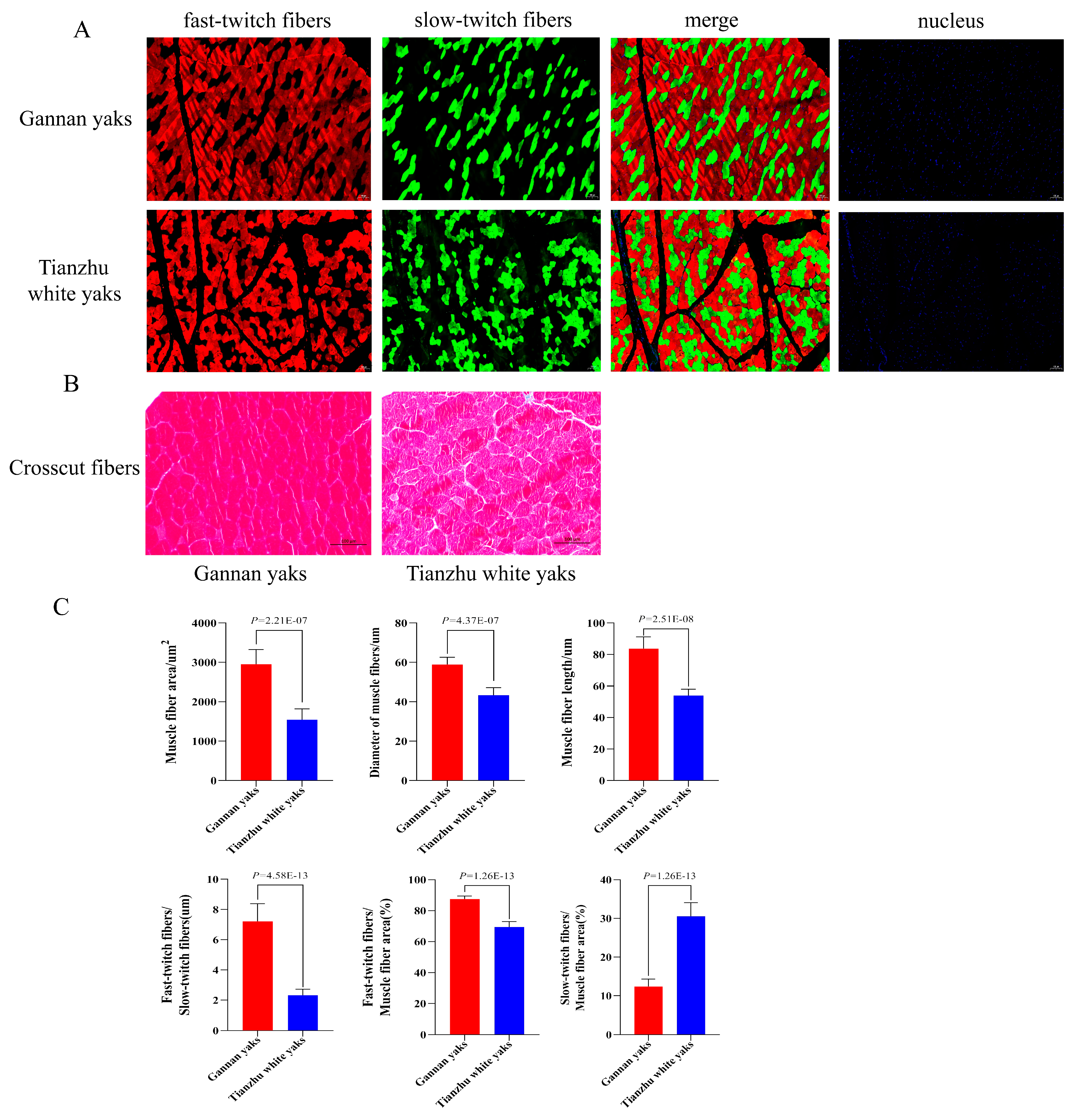 Animals 14 02278 g001