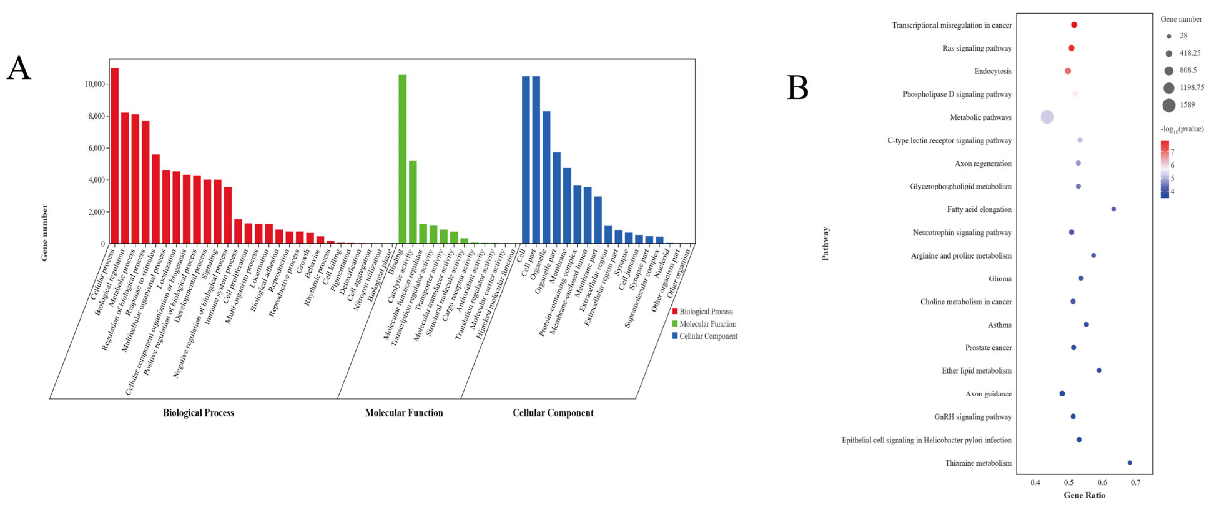 Animals 14 02278 g004