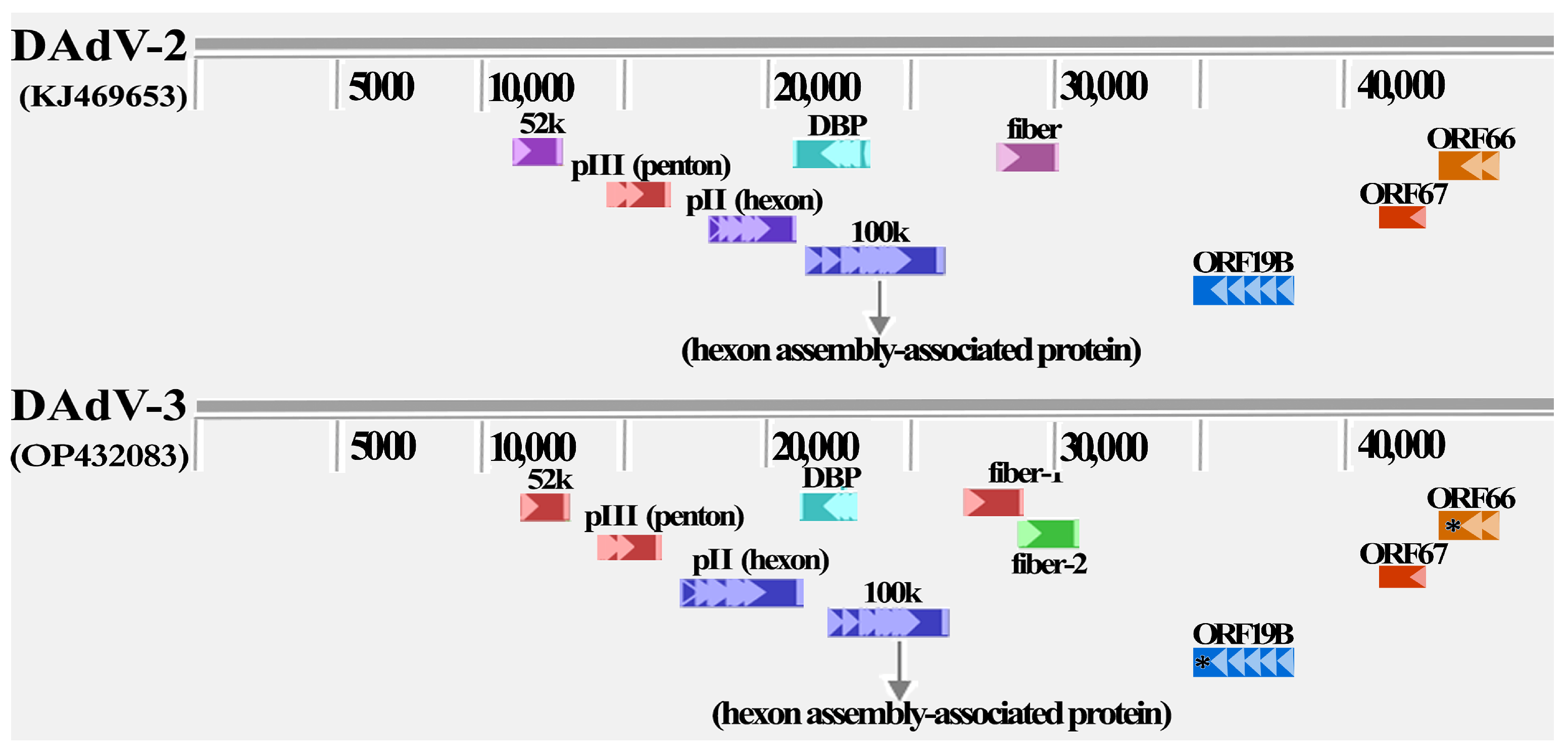 Animals 14 02284 g002