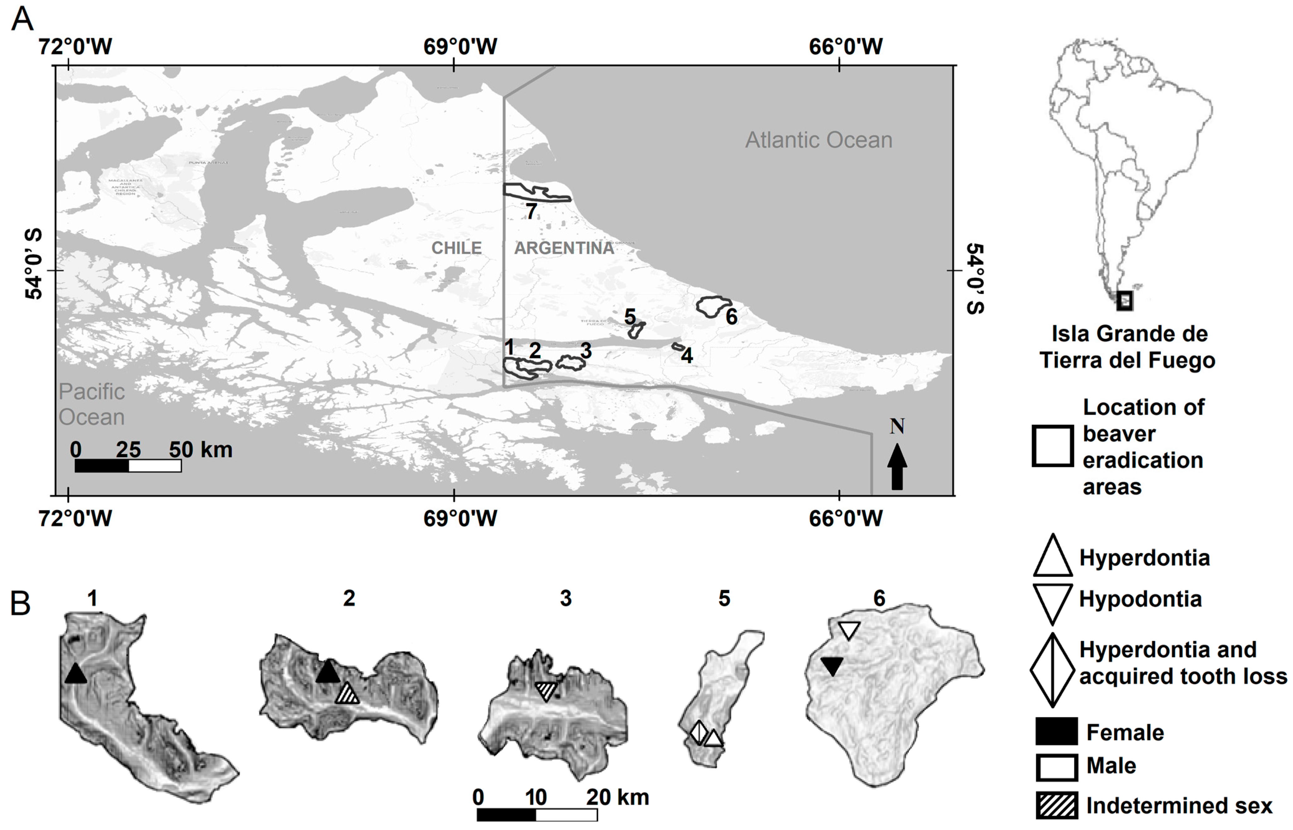 Animals 14 02285 g001 Animals 14 02285 g001