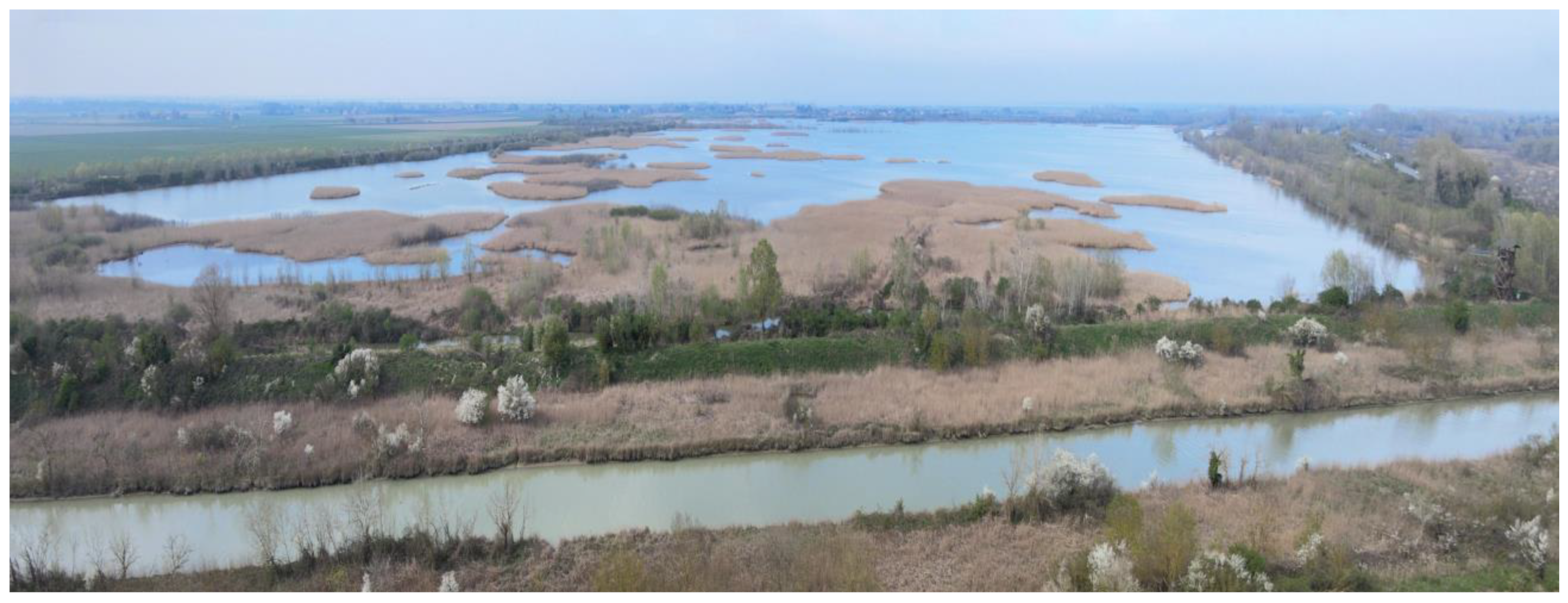 Animals 14 02291 g002 Animals 14 02291 g002