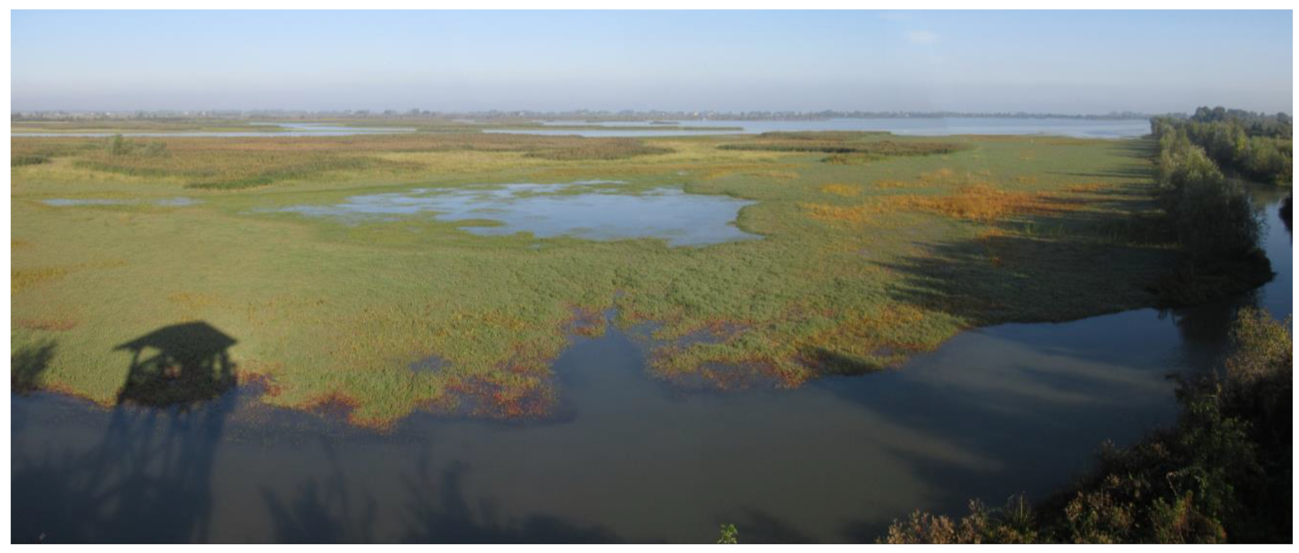 Animals 14 02291 g005 Animals 14 02291 g005