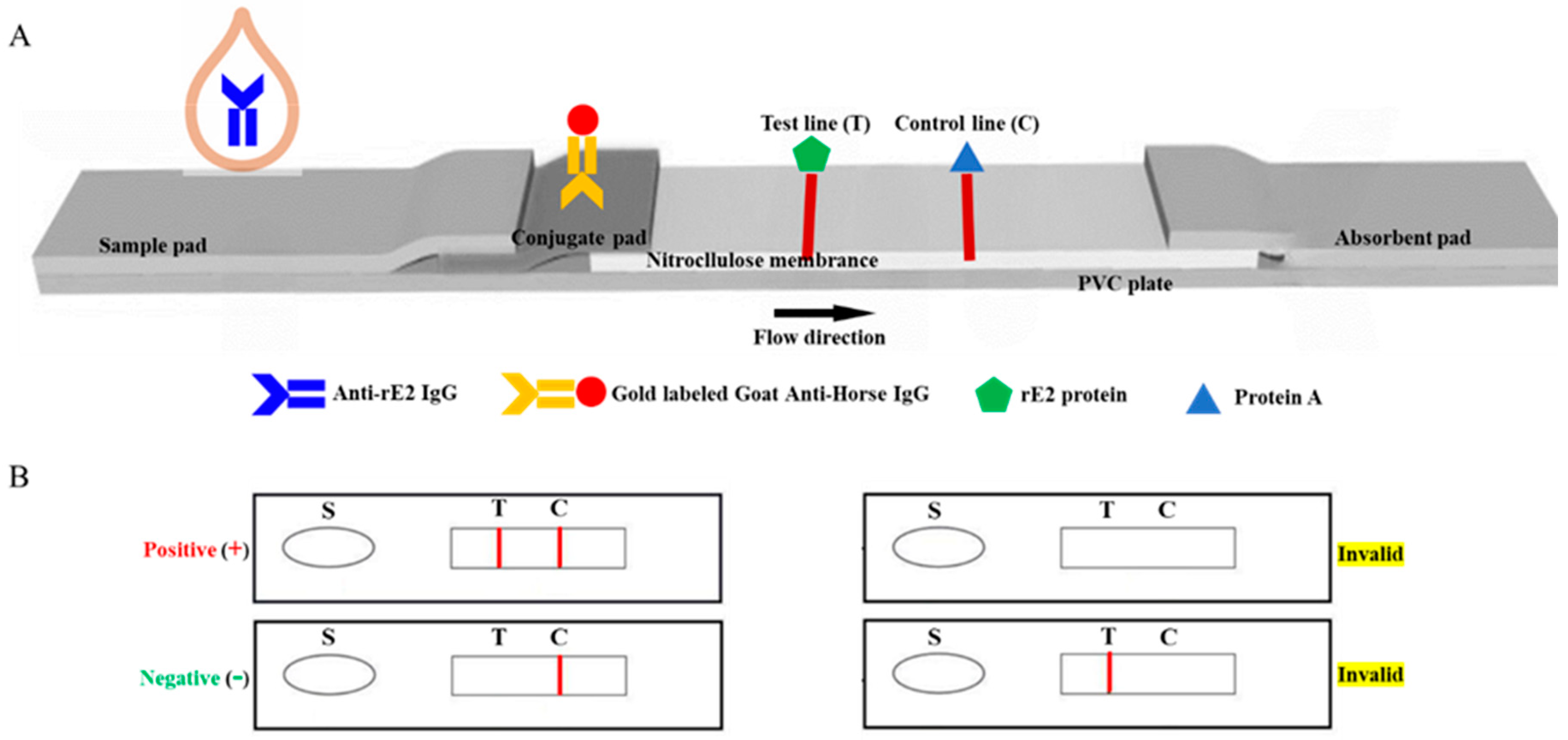 Animals 14 02309 g001