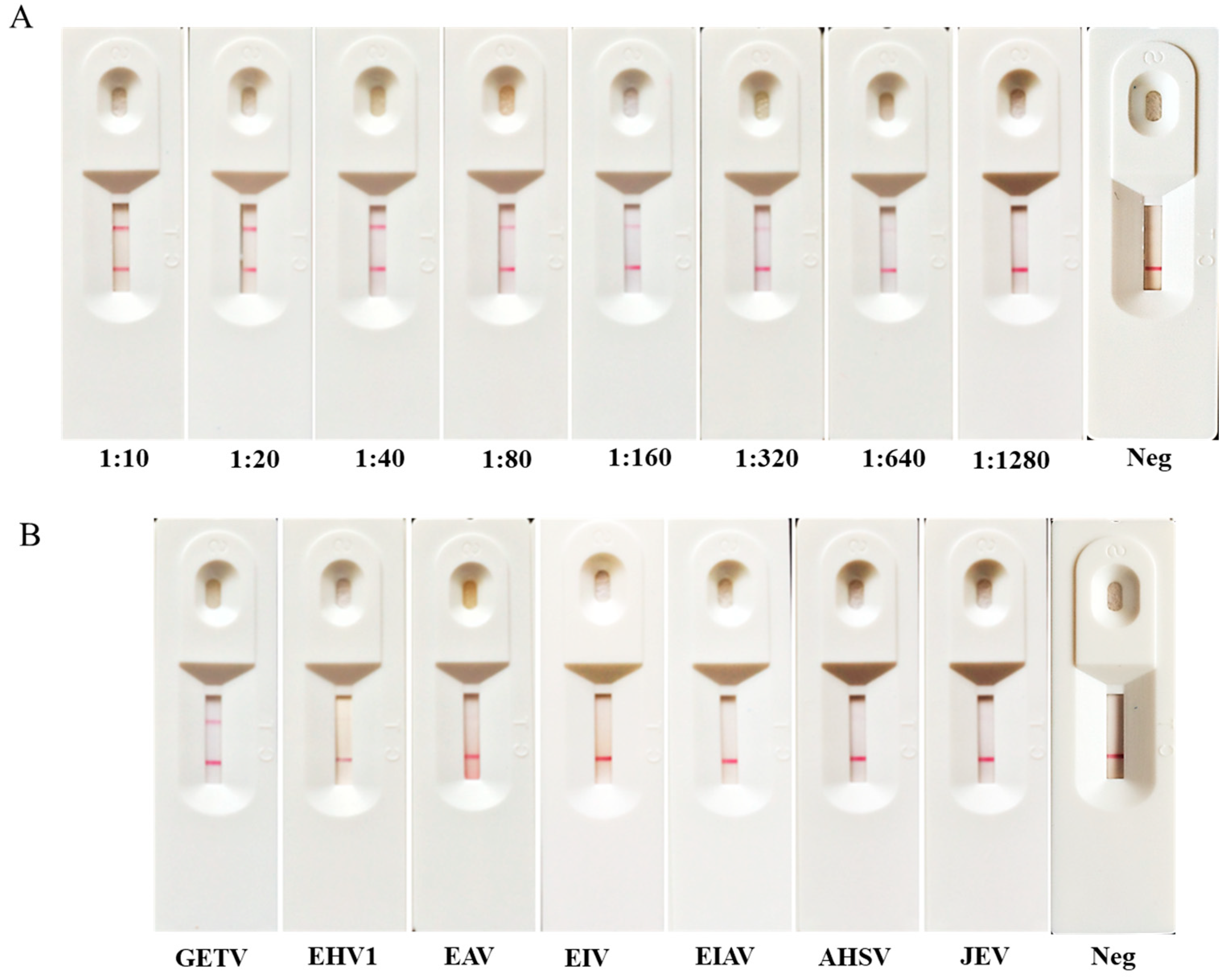 Animals 14 02309 g003