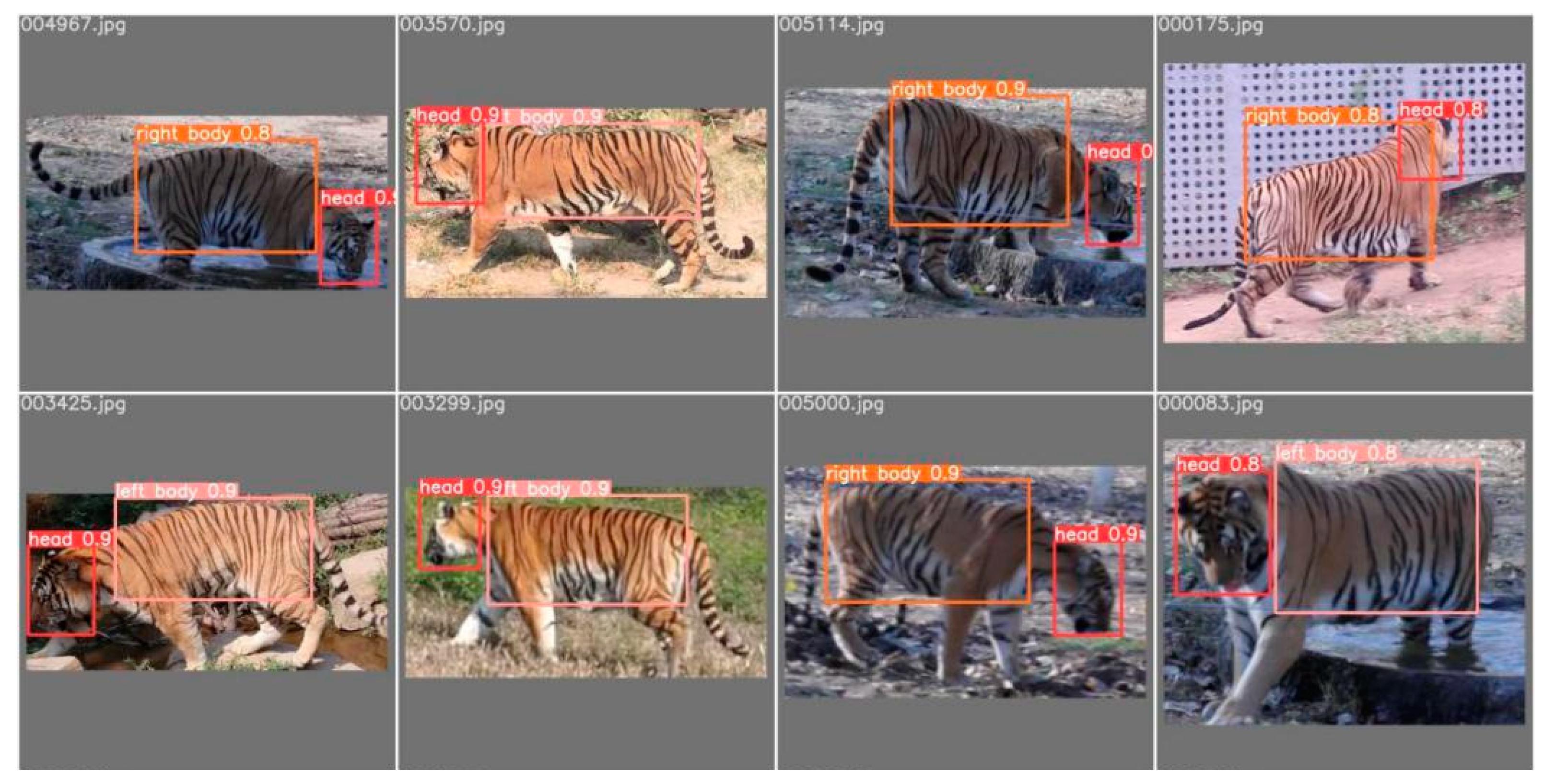 Animals 14 02312 g004