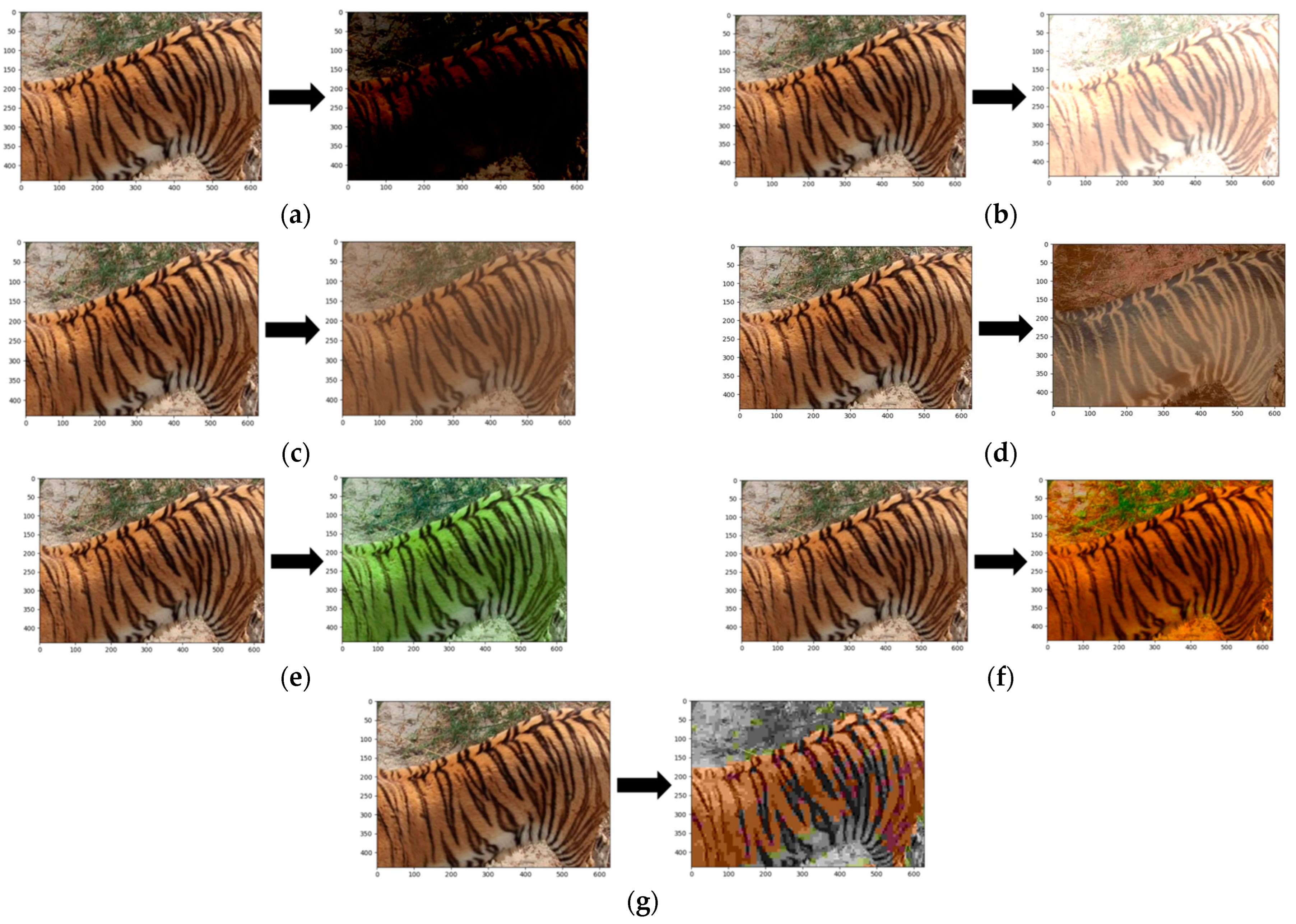 Animals 14 02312 g009