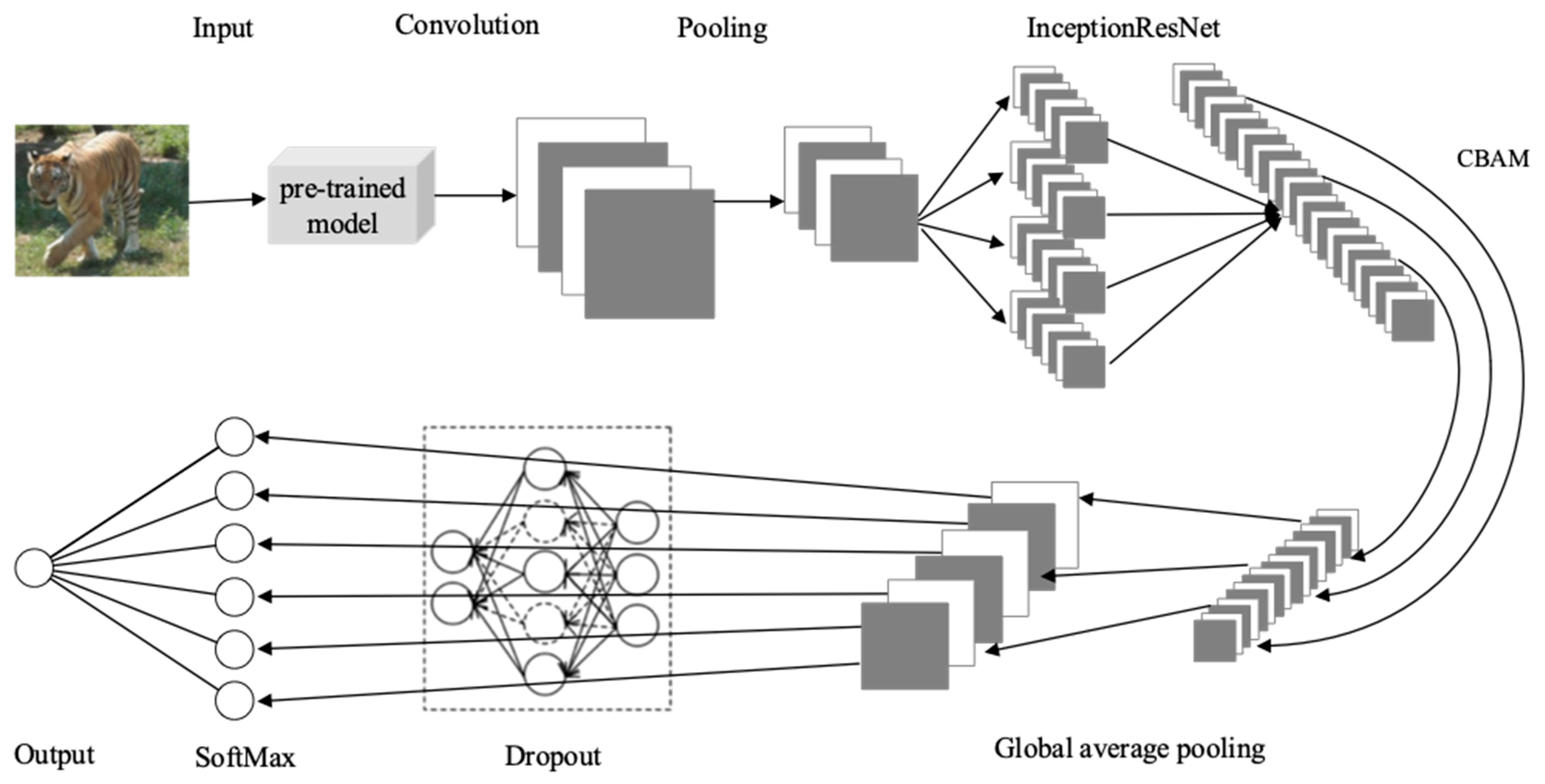 Animals 14 02312 g010