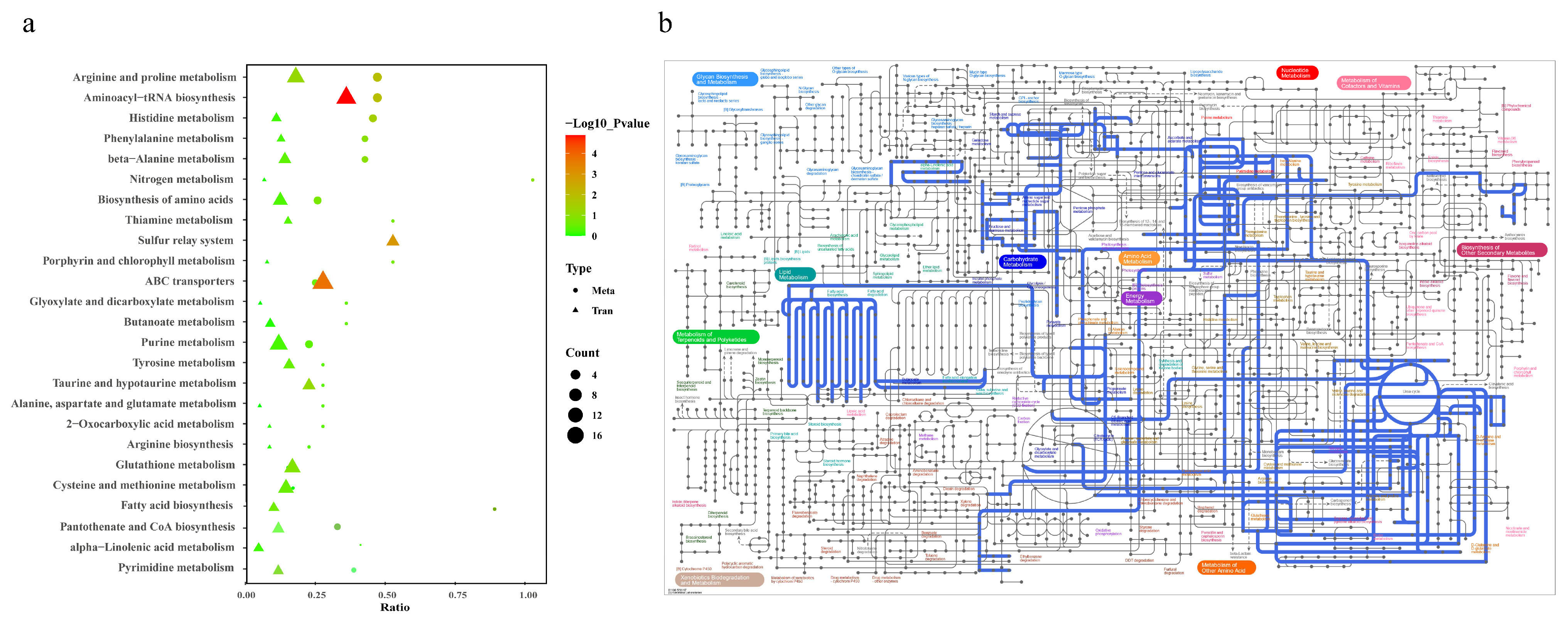 Animals 14 02318 g006