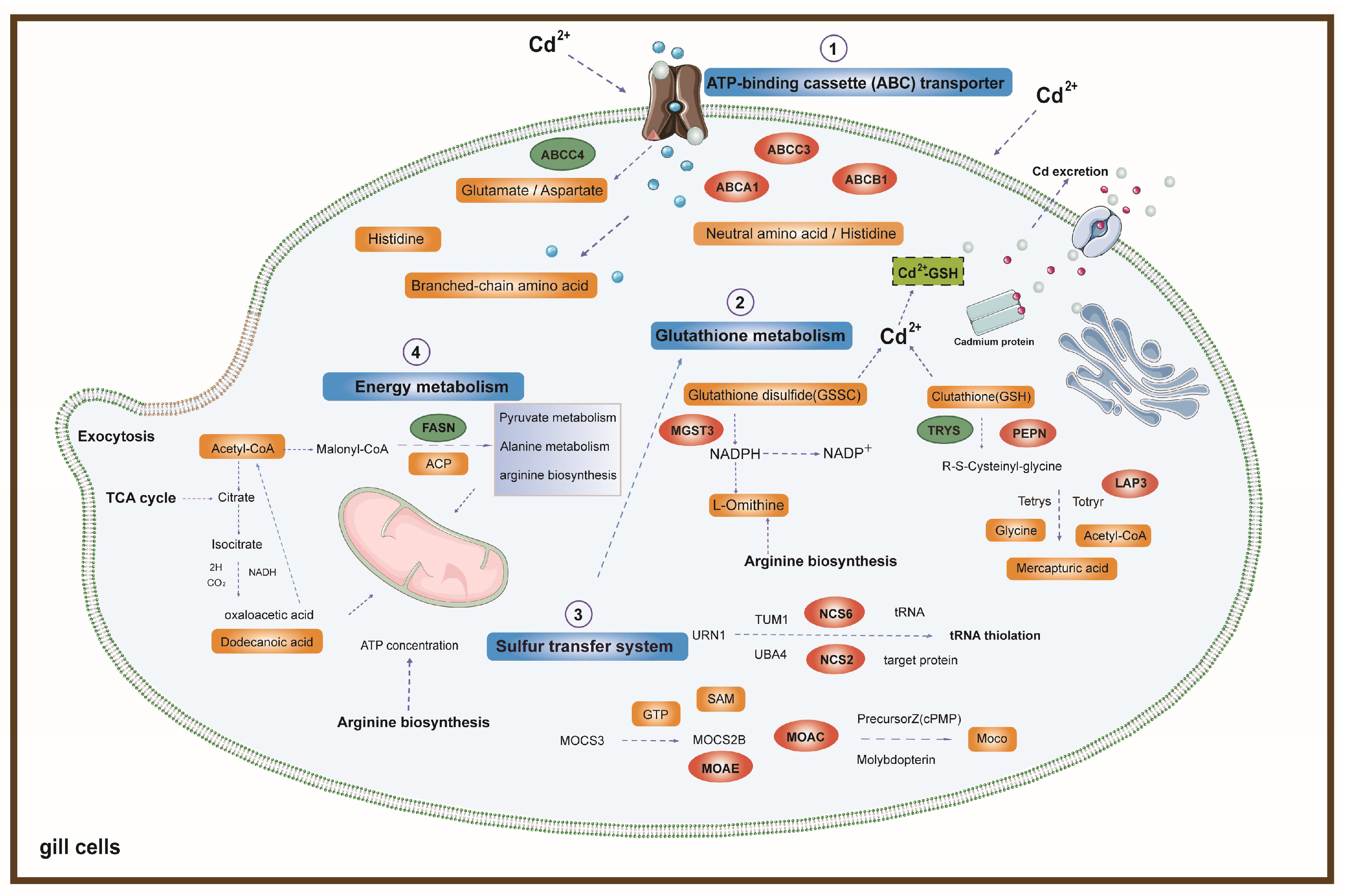 Animals 14 02318 g007