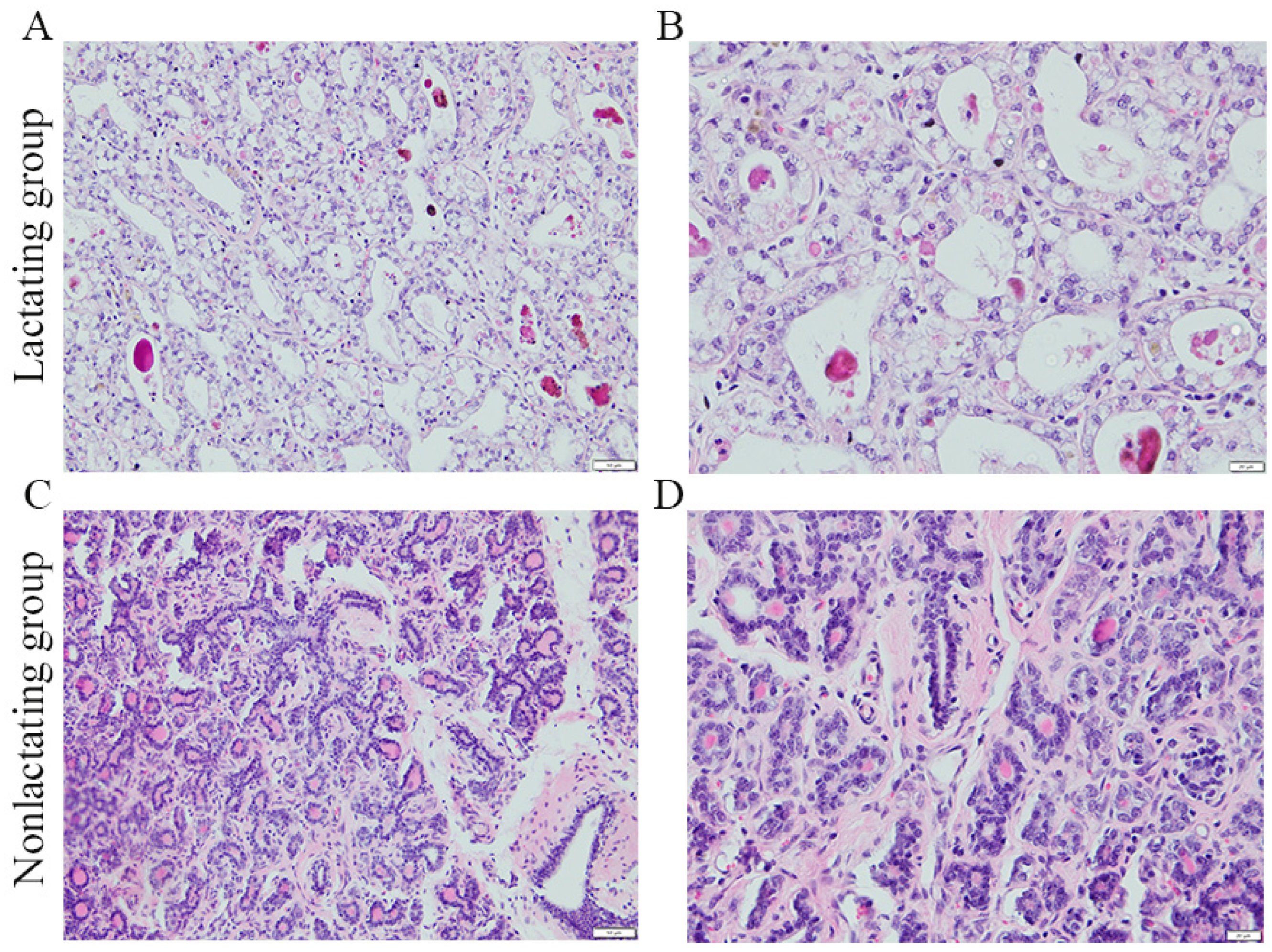 Animals 14 02319 g001 Animals 14 02319 g001