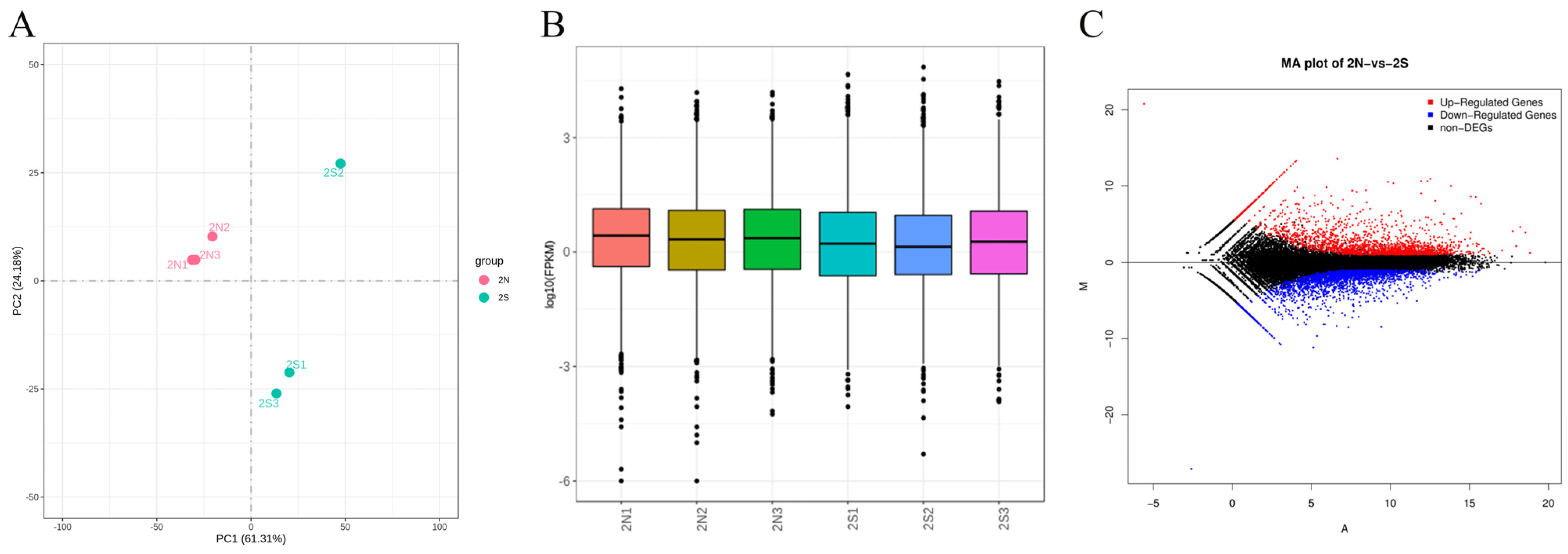 Animals 14 02319 g002 Animals 14 02319 g002