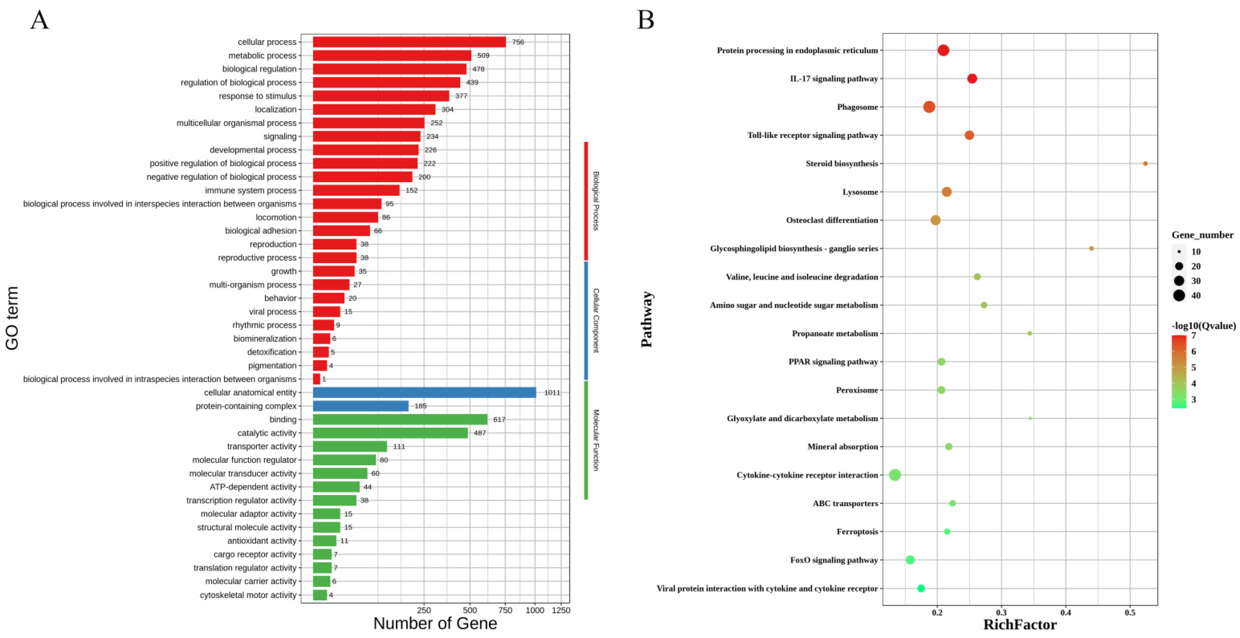 Animals 14 02319 g003 Animals 14 02319 g003