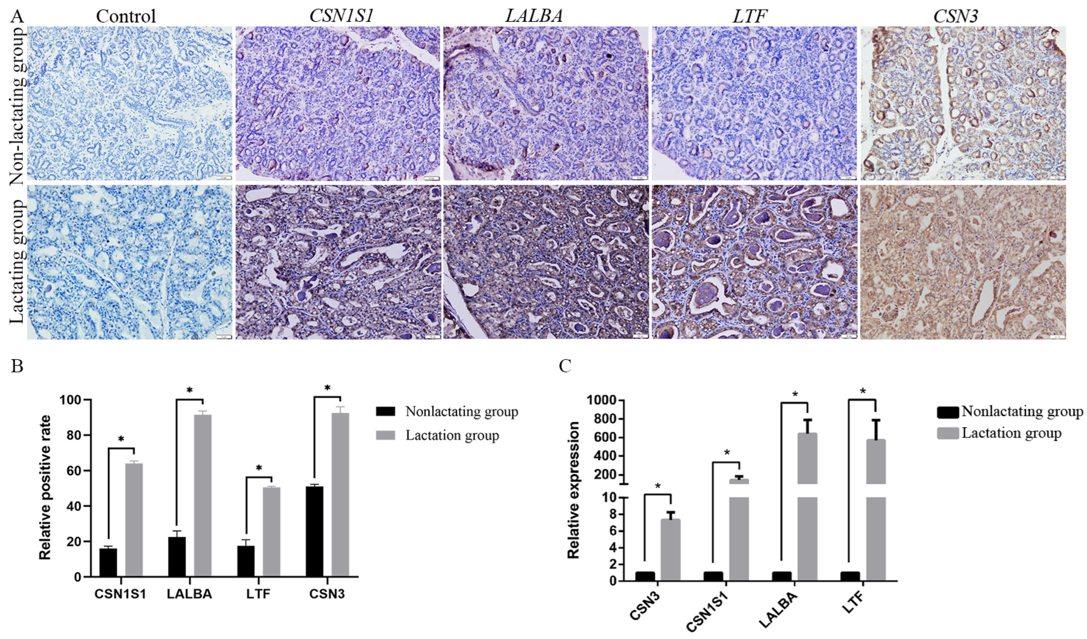 Animals 14 02319 g005 Animals 14 02319 g005