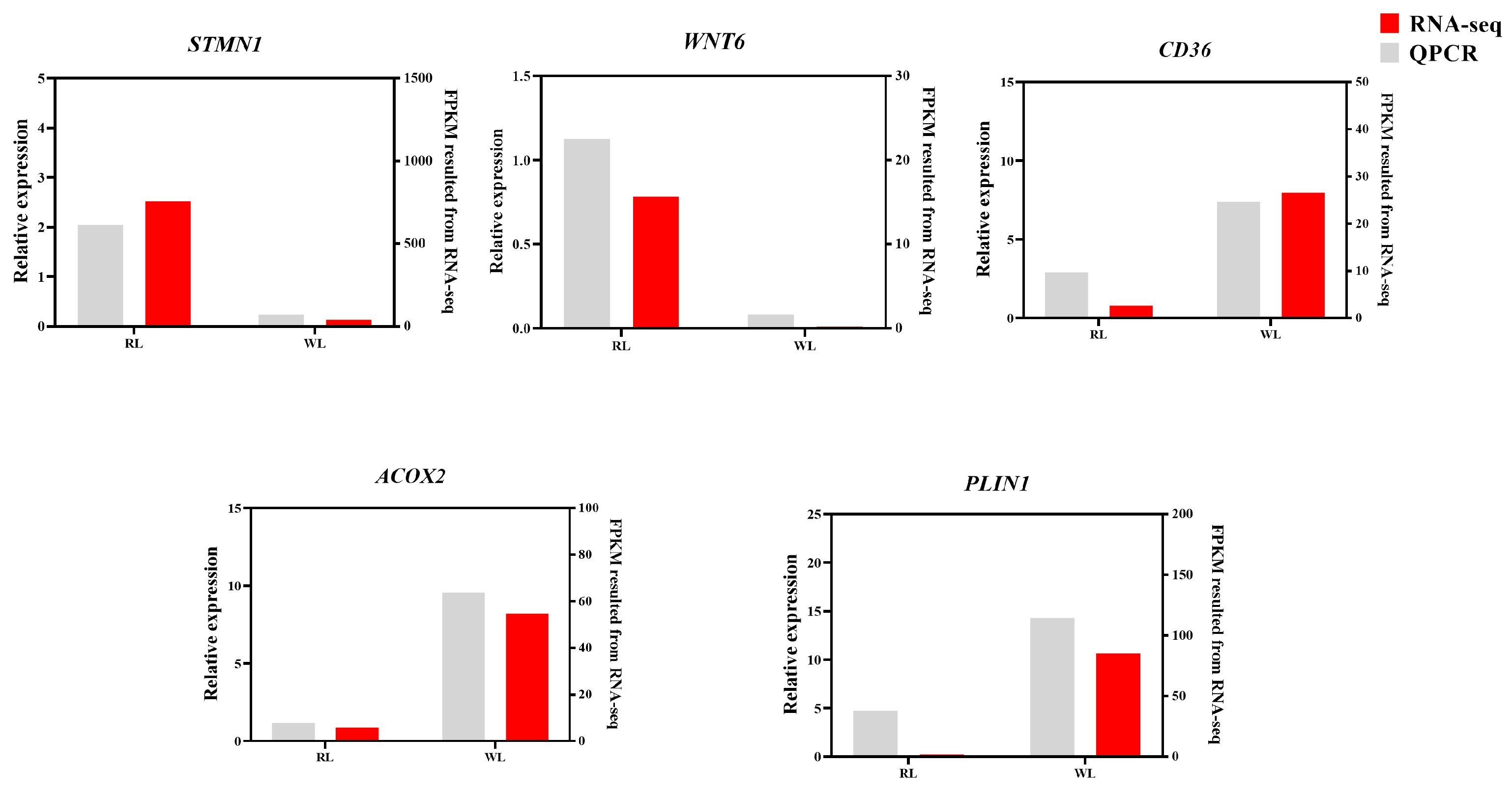 Animals 14 02320 g008