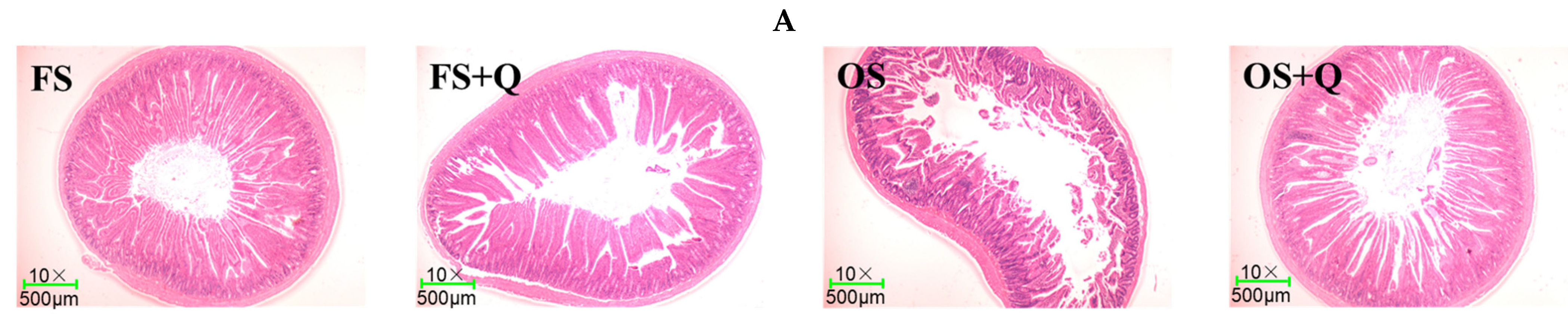 Animals 14 02326 g001a