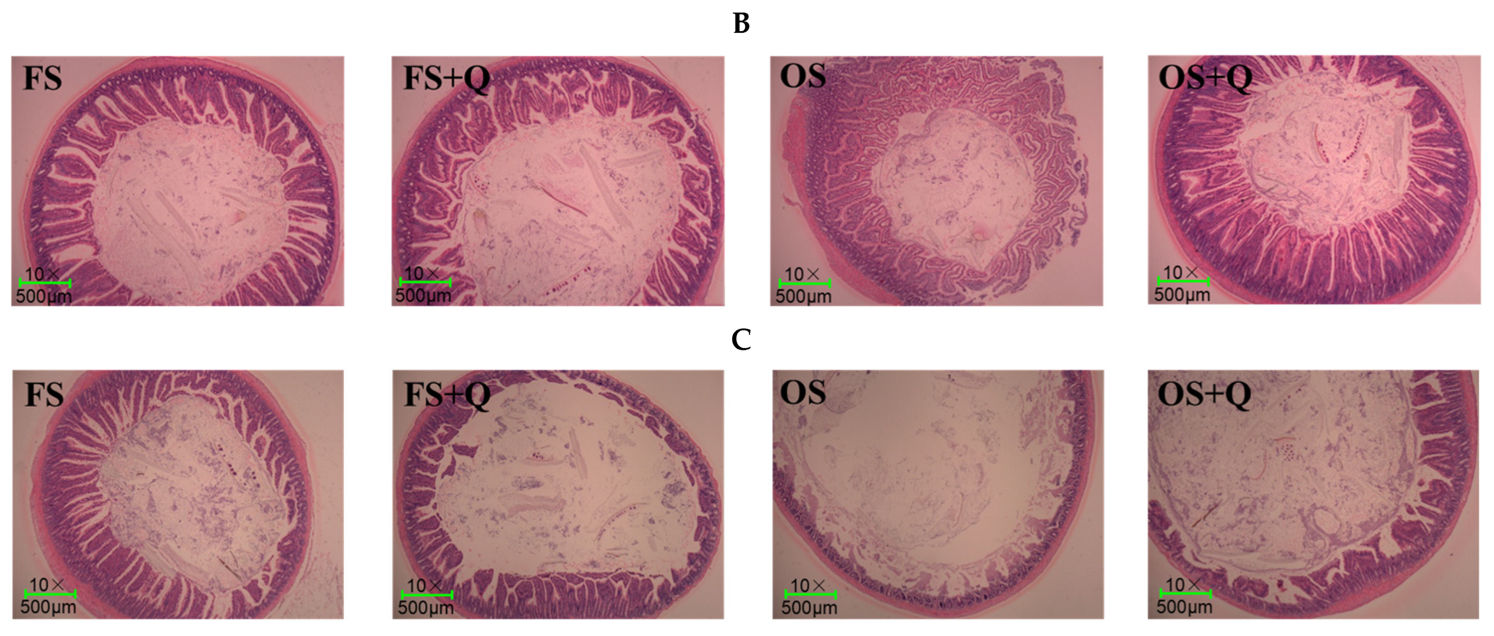 Animals 14 02326 g001b