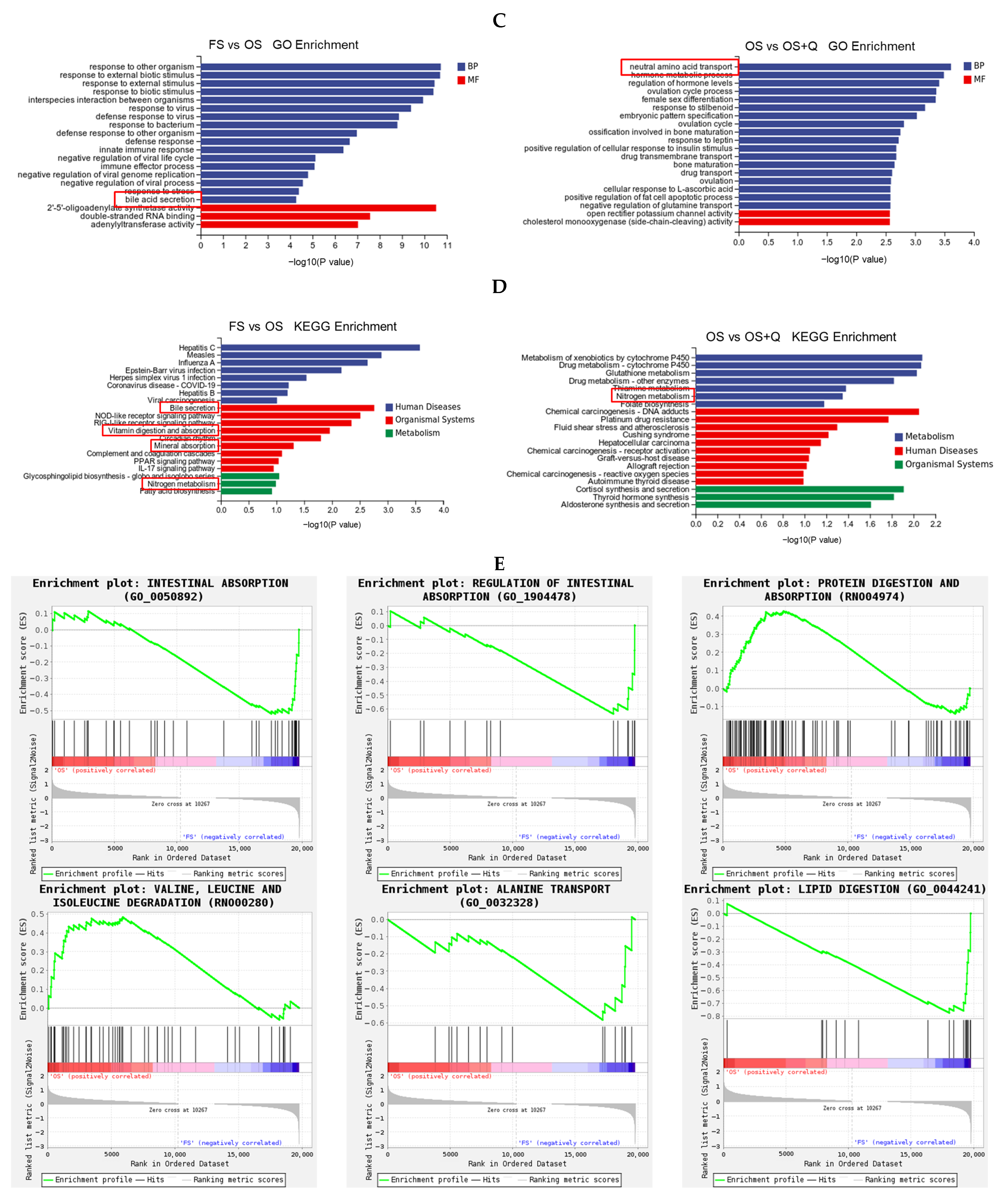 Animals 14 02326 g002b