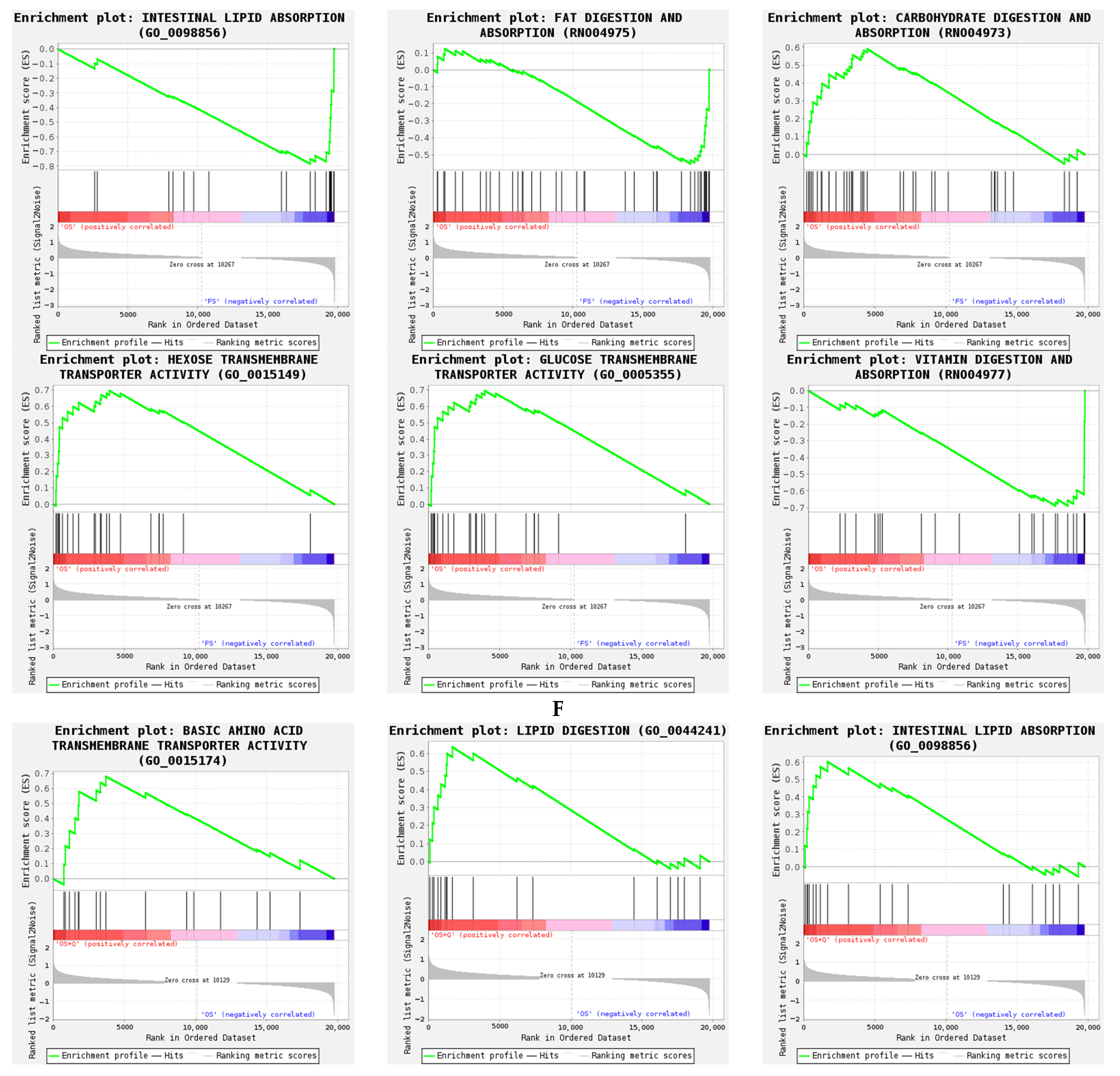 Animals 14 02326 g002c