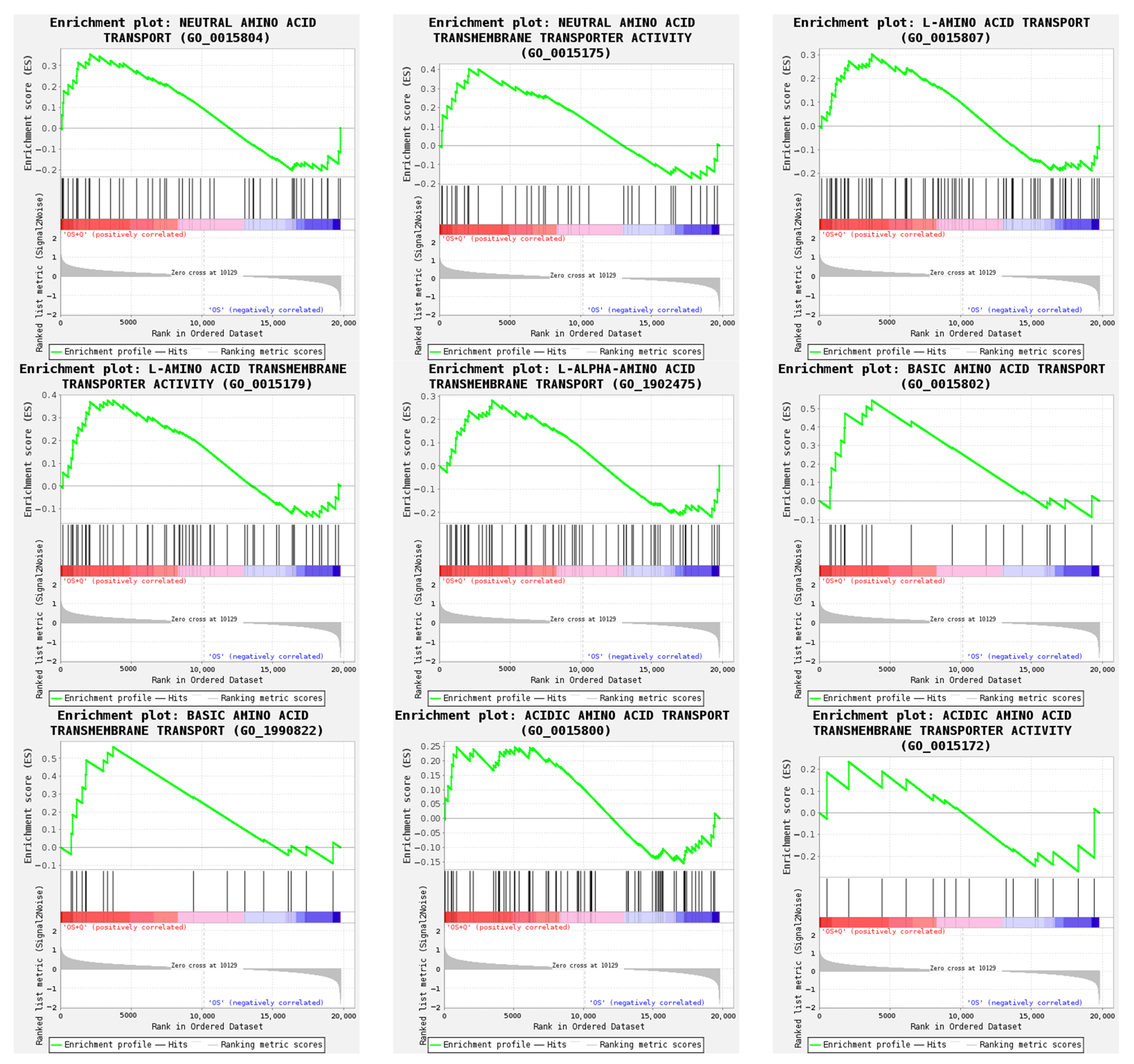 Animals 14 02326 g0a1
