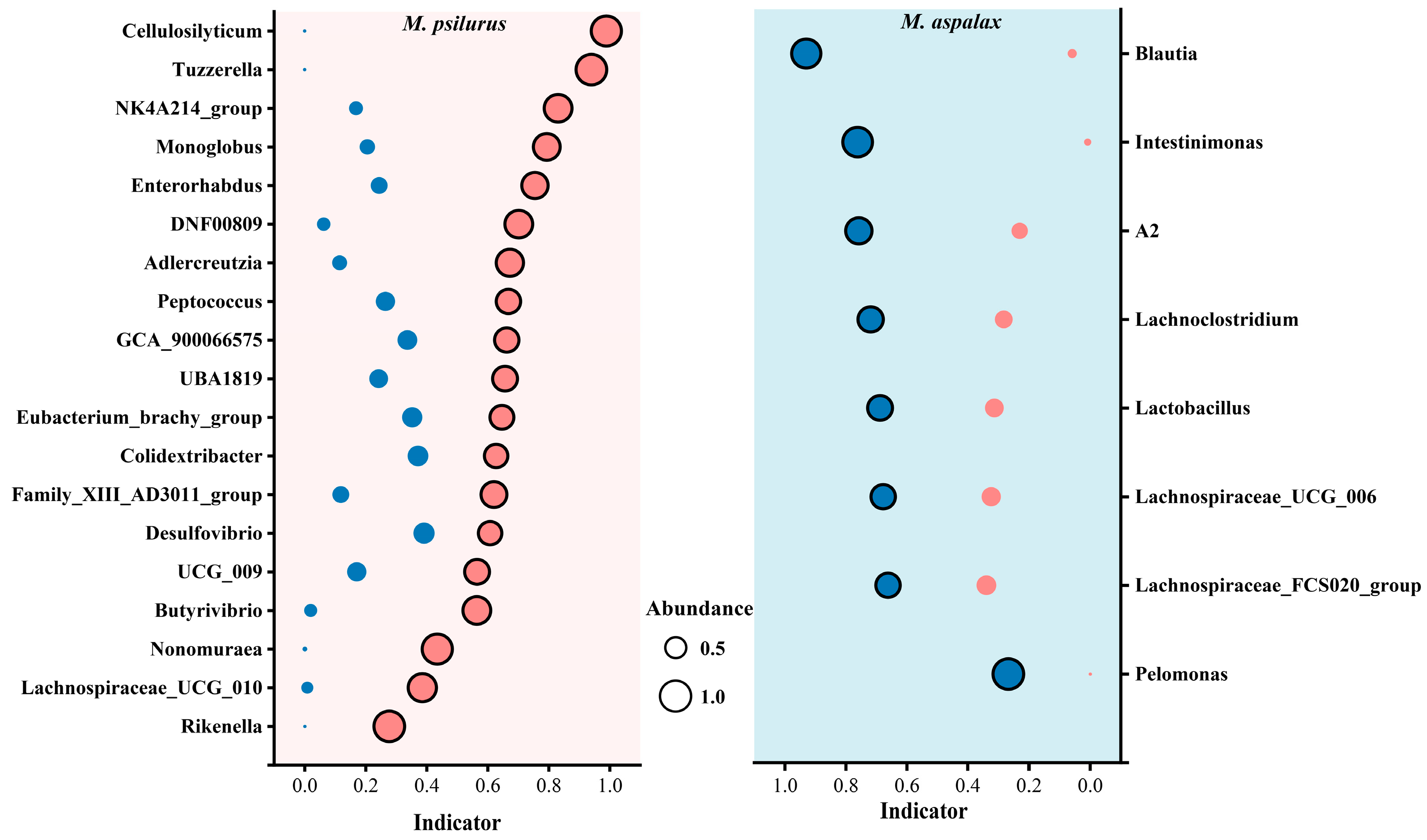 Animals 14 02334 g005