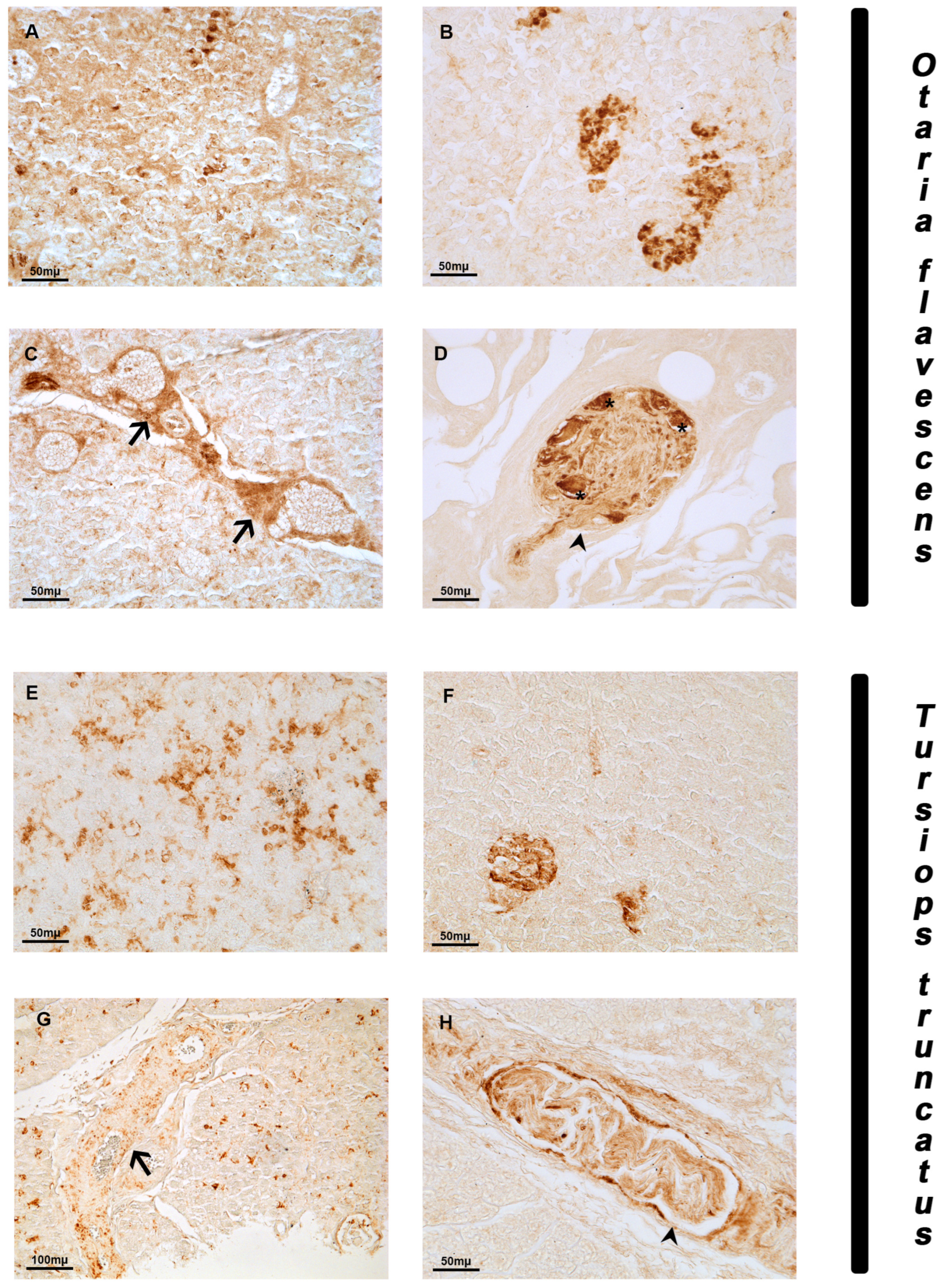 Animals 14 02336 g002