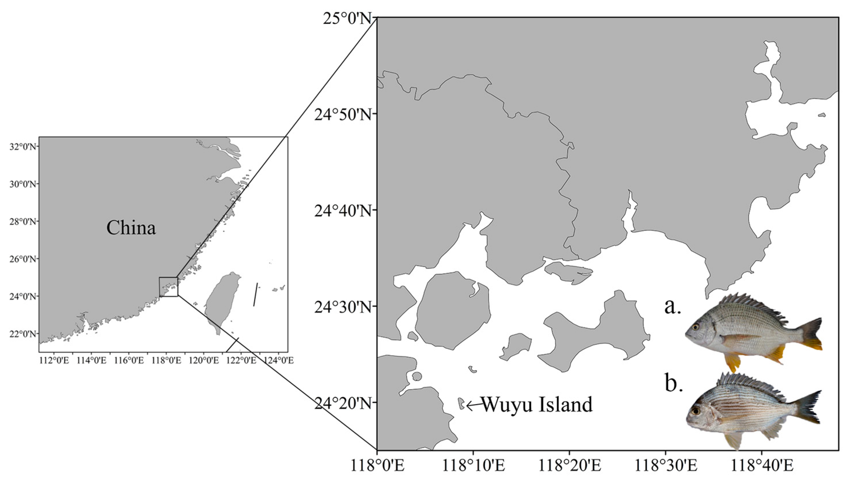 Animals 14 02339 g001