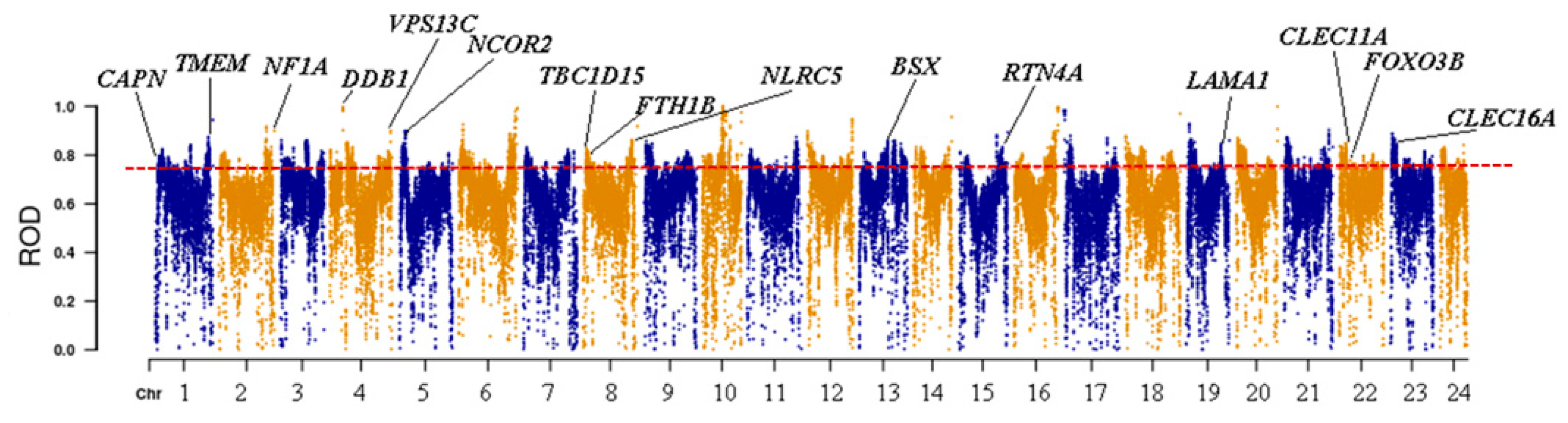 Animals 14 02339 g004