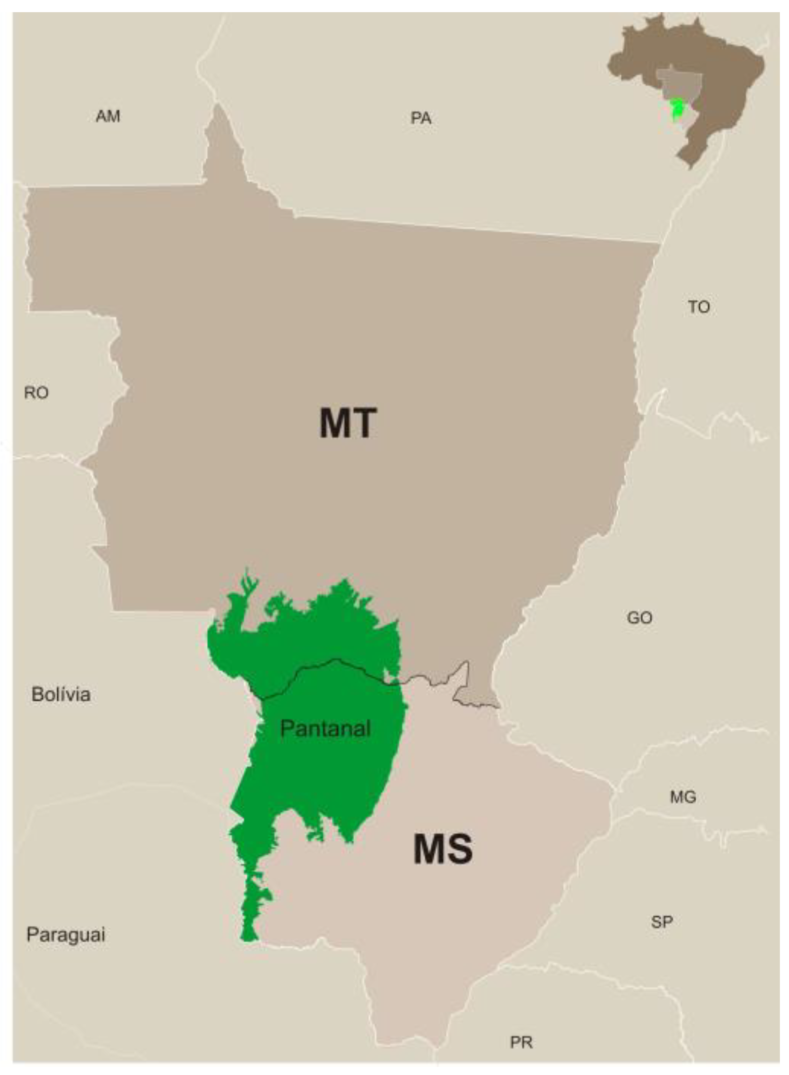 Animals 14 02340 g004