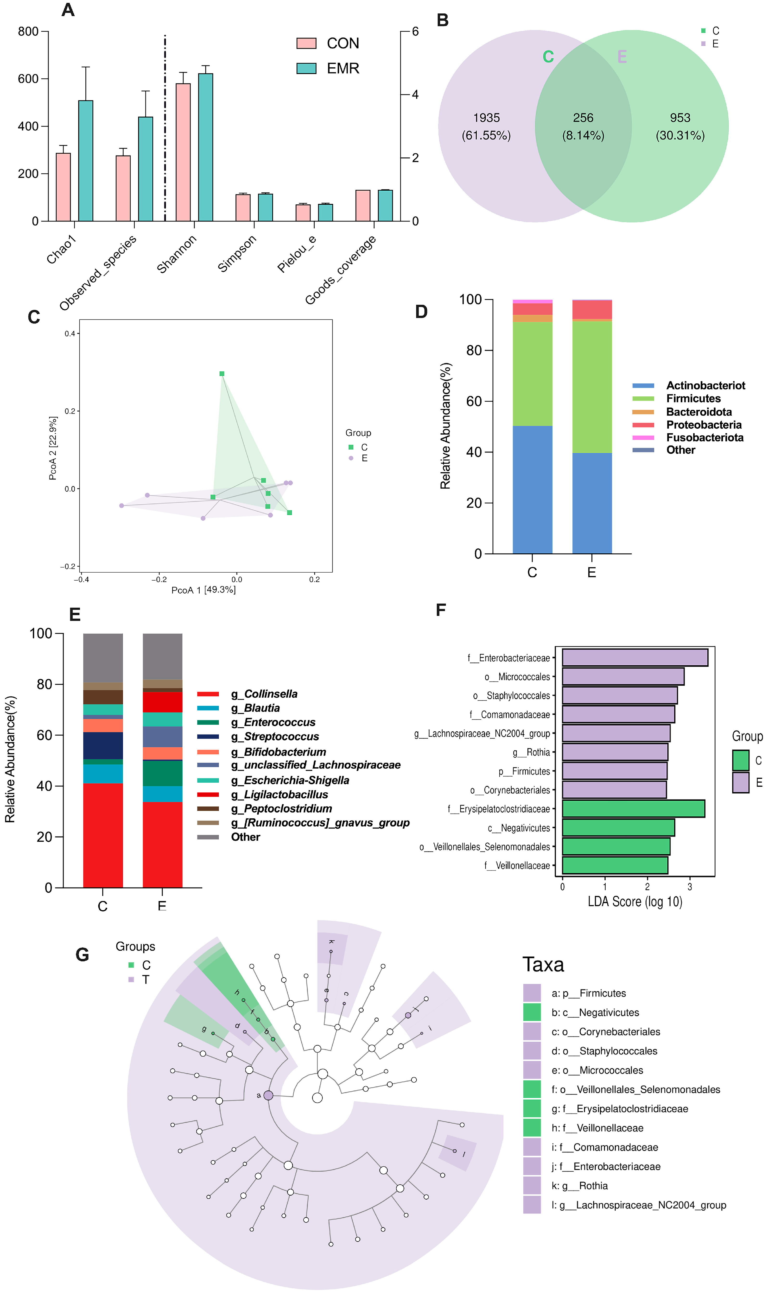 Animals 14 02346 g002
