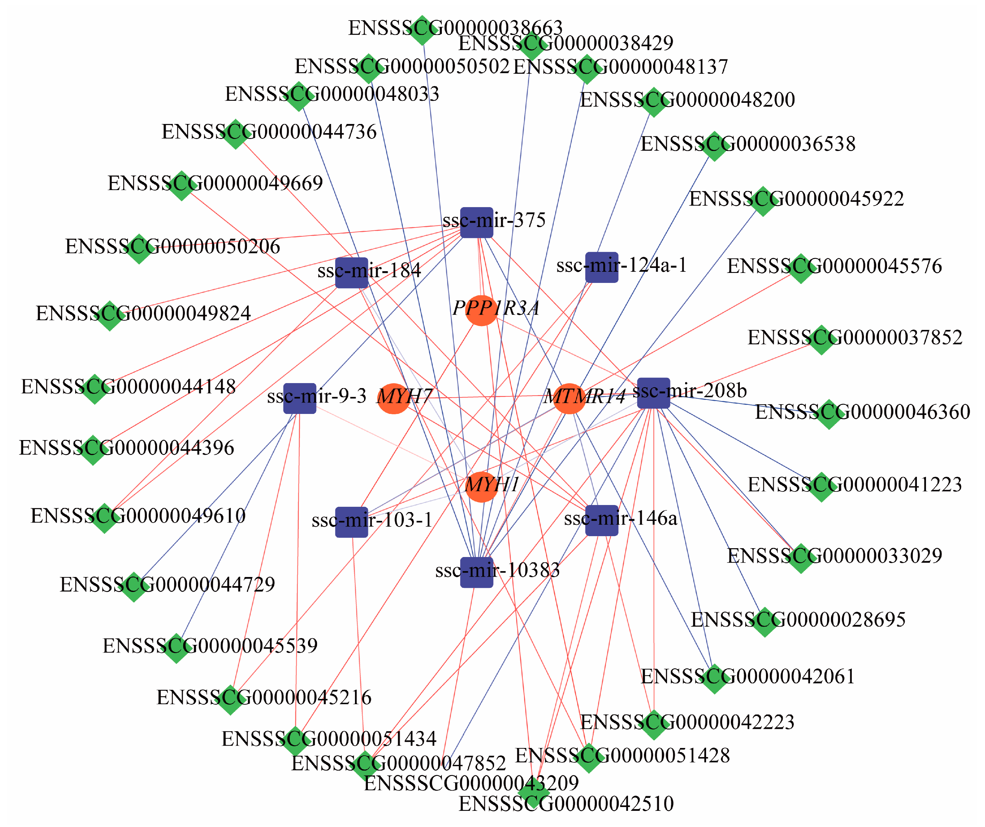 Animals 14 02347 g005