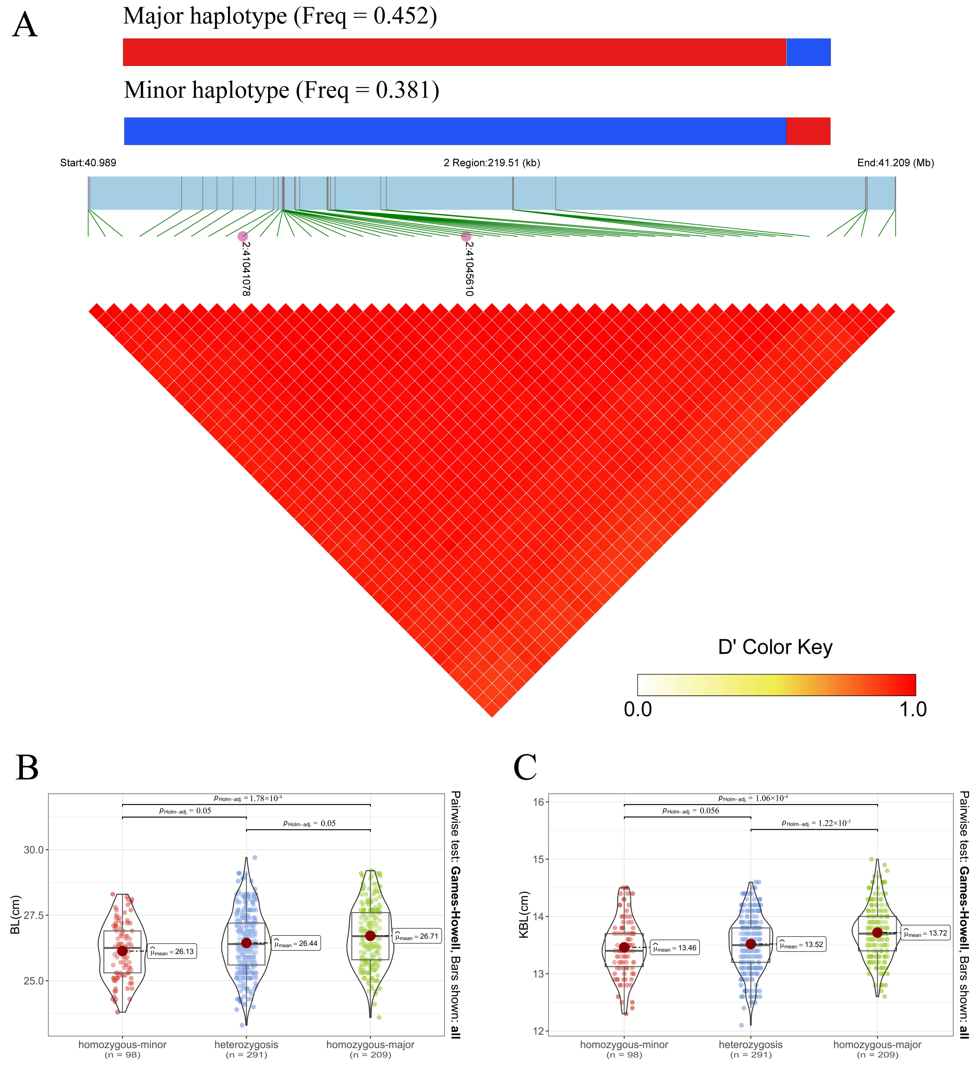 Animals 14 02349 g002