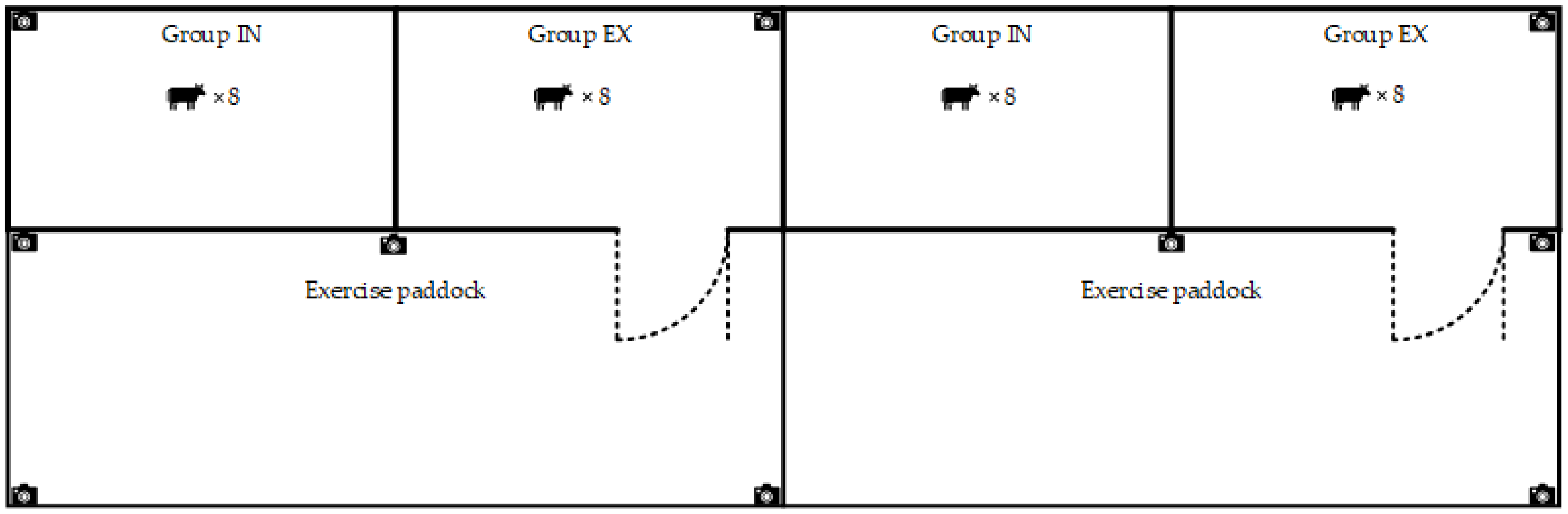 Animals 14 02353 g001 Animals 14 02353 g001