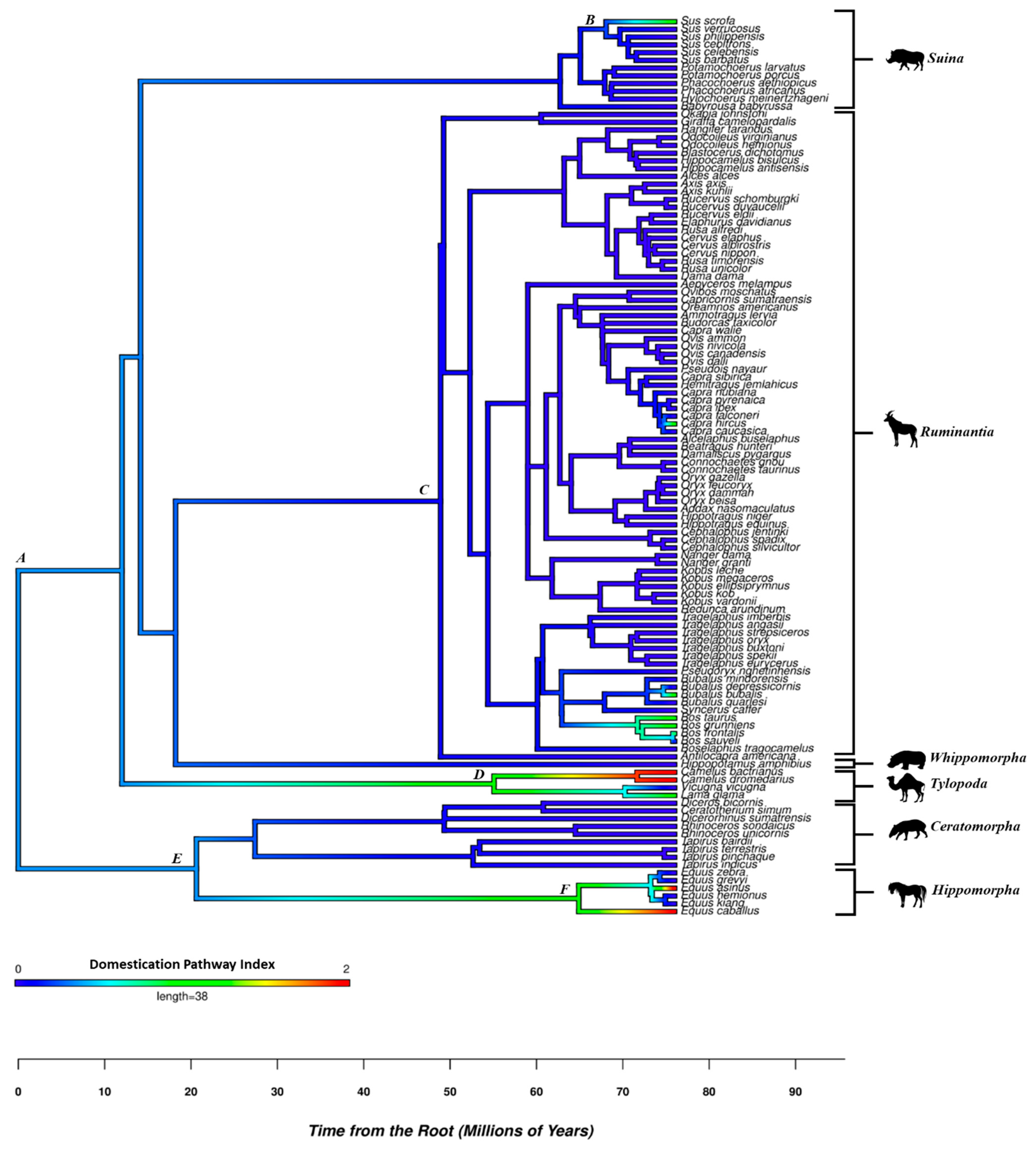 Animals 14 02355 g002 Animals 14 02355 g002