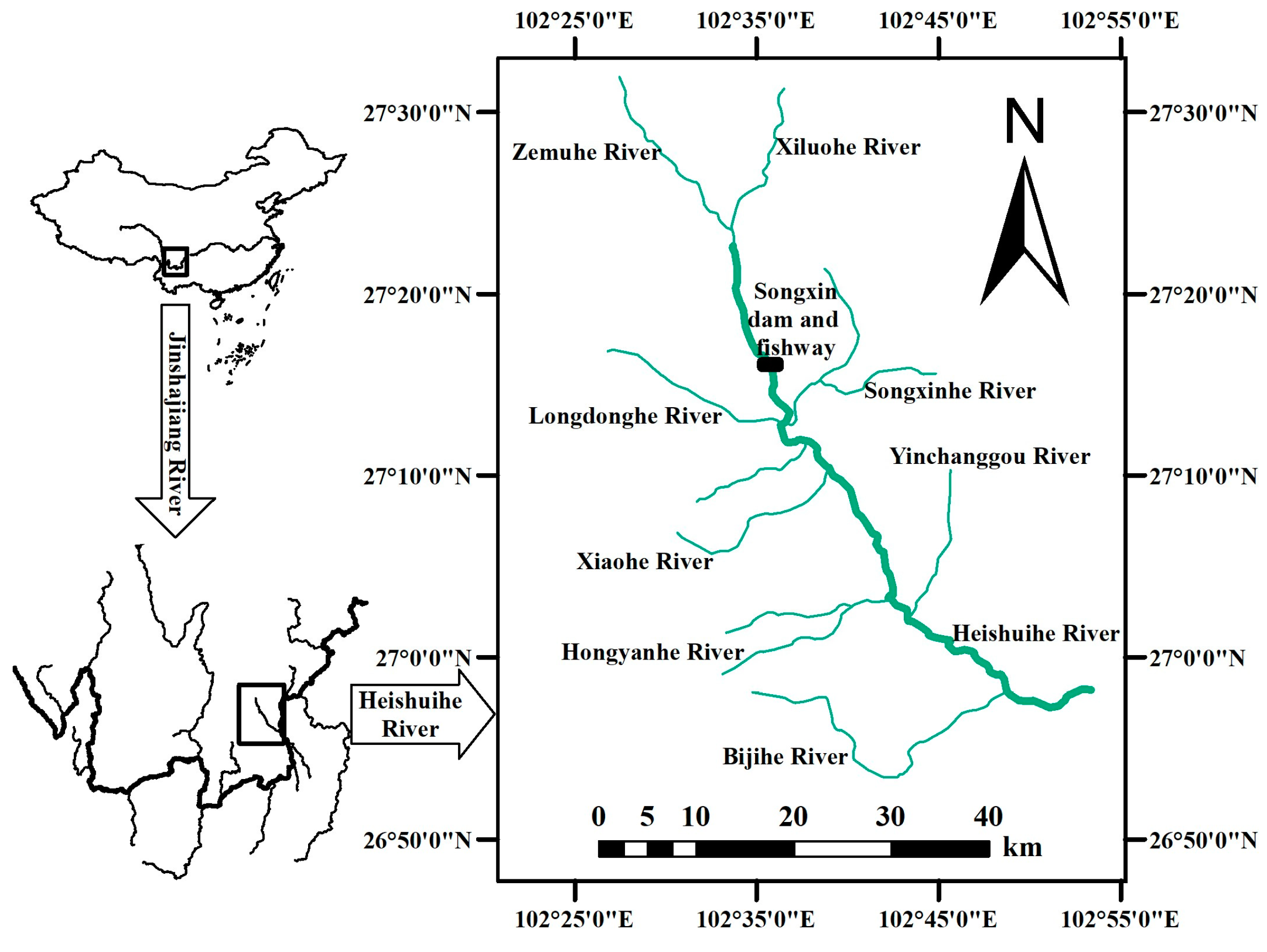 Animals 14 02365 g001