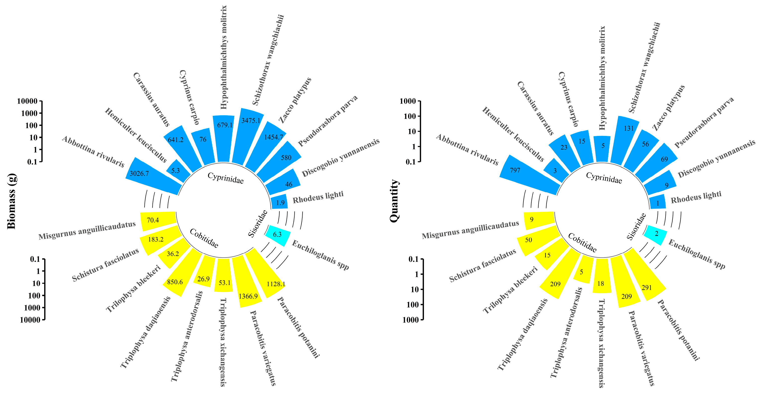 Animals 14 02365 g003