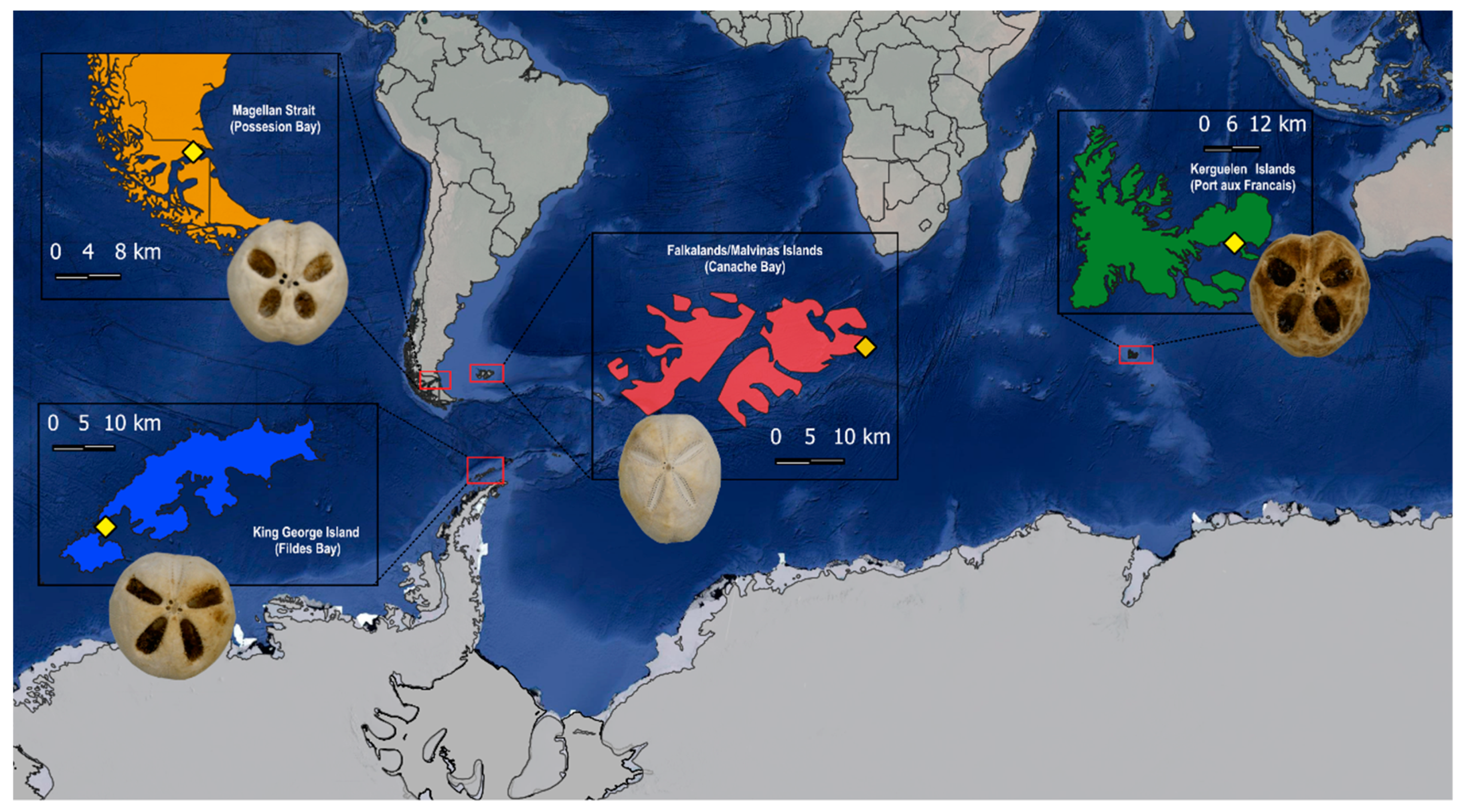 Animals 14 02376 g001