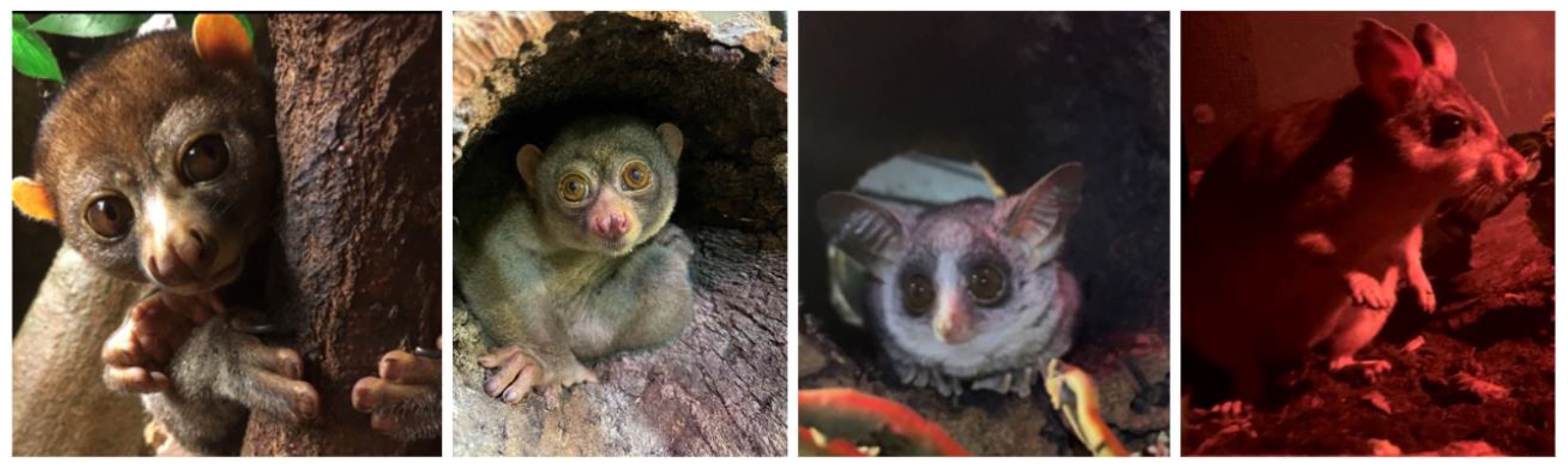 Animals 14 02378 g002