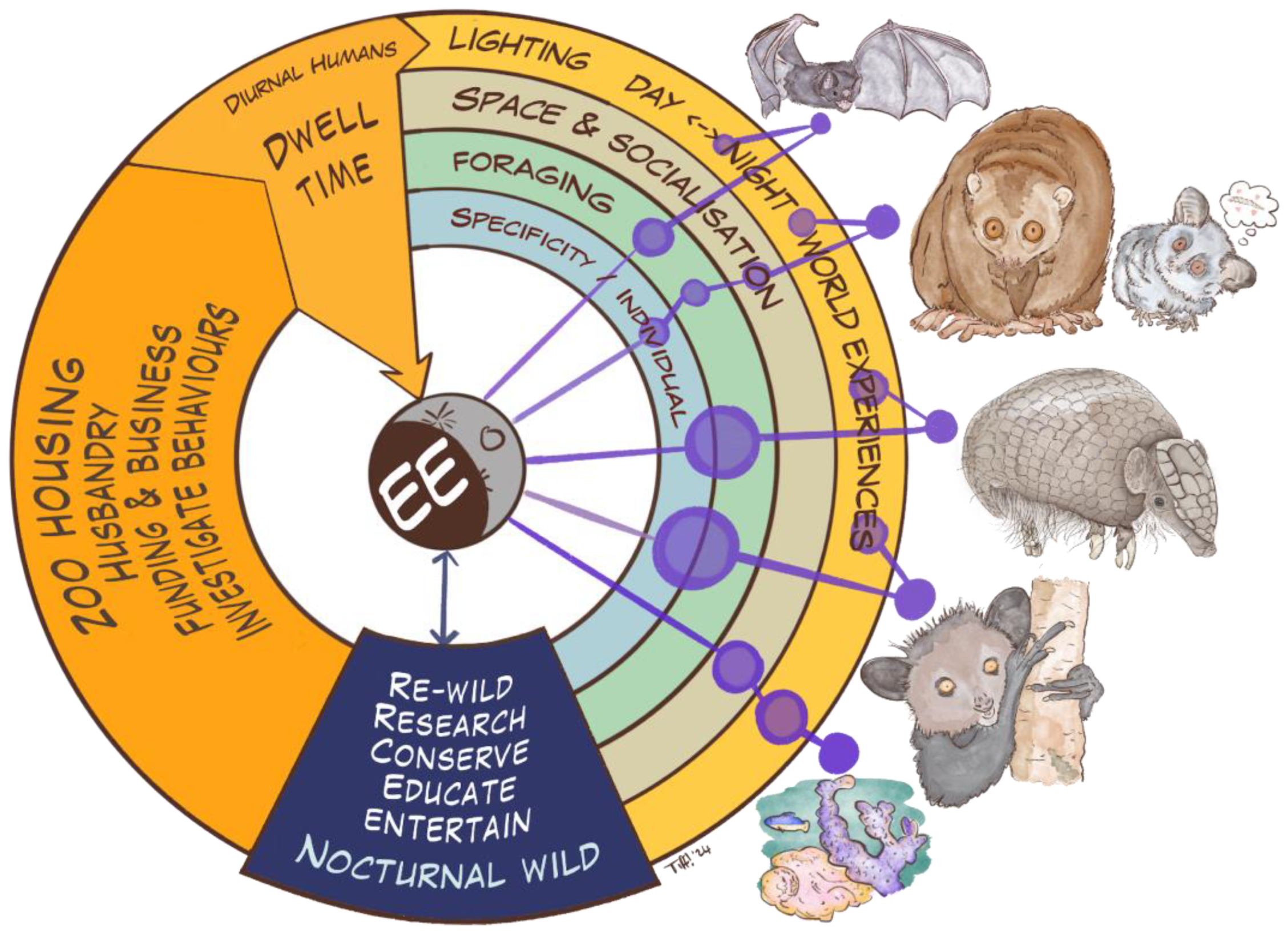 Animals 14 02378 g012