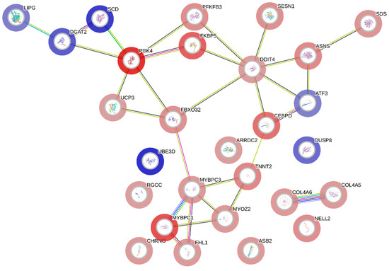Novel Candidate Genes Involved in an Initial Stage of White