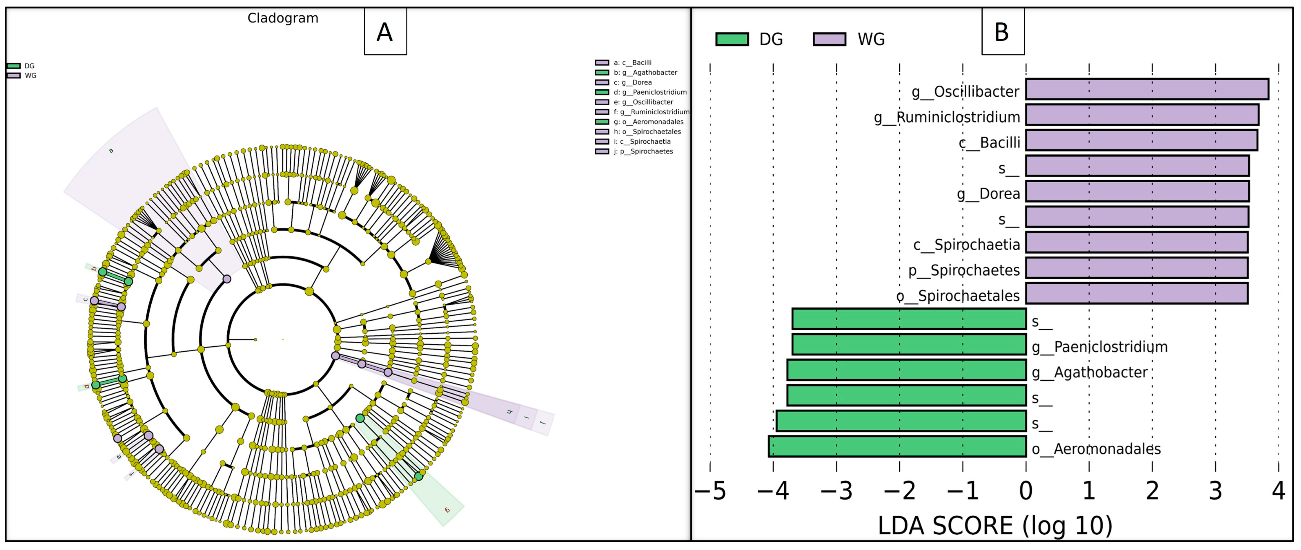 Animals 14 02380 g005 Animals 14 02380 g005